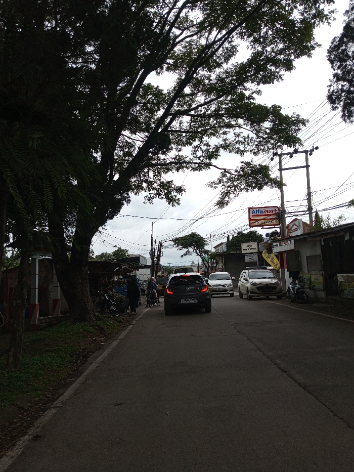 The image depicts a street scene in Melakudikadu, India, under an overcast sky, likely during daytime. A two-lane asphalt road, appearing somewhat damp, recedes into the background. A dark grey hatchback, bearing a visible license plate "B 1832 NM" (a format typically associated with Indonesia), is positioned centrally on the road, facing away from the viewer. Behind it, a white sedan follows. Further right, a white multi-purpose vehicle is parked or moving slowly alongside the road.
The left side of the street is dominated by large, dense-foliaged trees that cast significant shadows over a narrow, unpaved or grassy shoulder. Beneath these trees, several individuals are visible near what appear to be small roadside stalls or structures, with multiple motorcycles parked nearby.
The right side of the street features commercial buildings. A prominent "Alfamart" sign, red and white in color, is mounted on a tall pole. This area is characterized by a dense tangle of overhead utility wires crisscrossing the sky. Another scooter is parked near the right curb in the midground. The environment suggests an urban or semi-urban setting with moderate vehicle and pedestrian presence.
