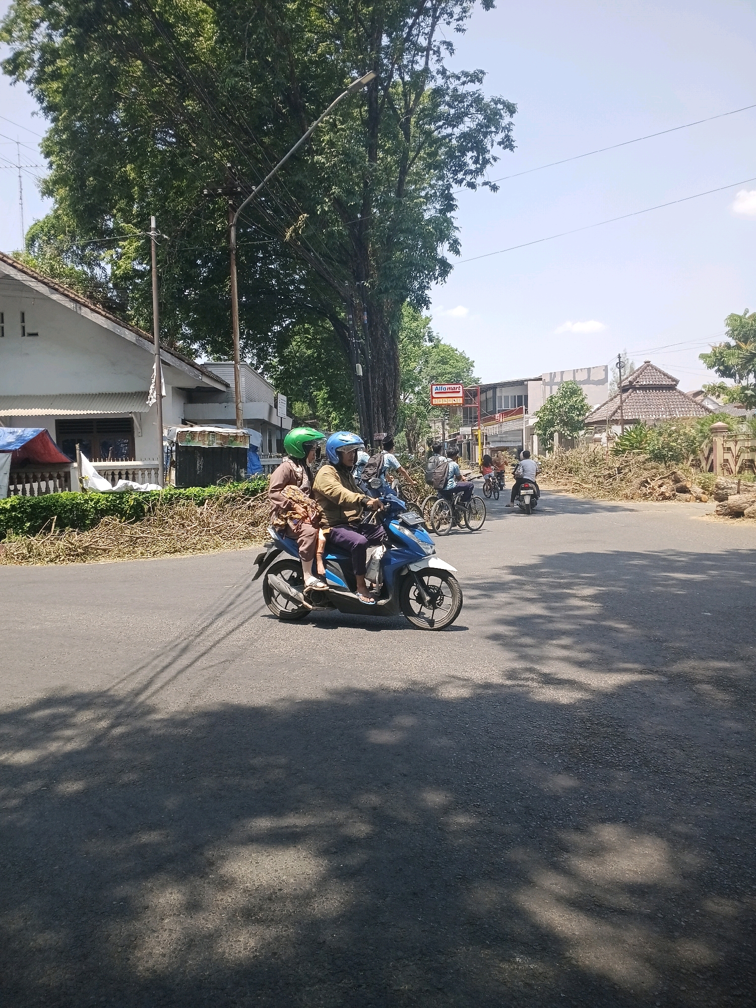 In a street scene in Purwodadi, Indonesia, two individuals are riding a blue motorcycle. The driver is wearing a brown jacket and dark pants, while the passenger, seated behind the driver, is wearing a brown shirt and a green helmet. A child is seated between them, wrapped in a patterned cloth and wearing a blue helmet. They are traveling on an asphalt road lined with trees and vegetation. In the background, several buildings are visible, including a white house with a tiled roof and a structure with a prominent red and white "Alfamart" sign. Other people on bicycles and motorcycles are also present on the road, moving in various directions. Piles of cut branches and logs are stacked along the side of the road, indicating recent tree trimming or debris removal. The sky is clear and blue, suggesting a sunny day.