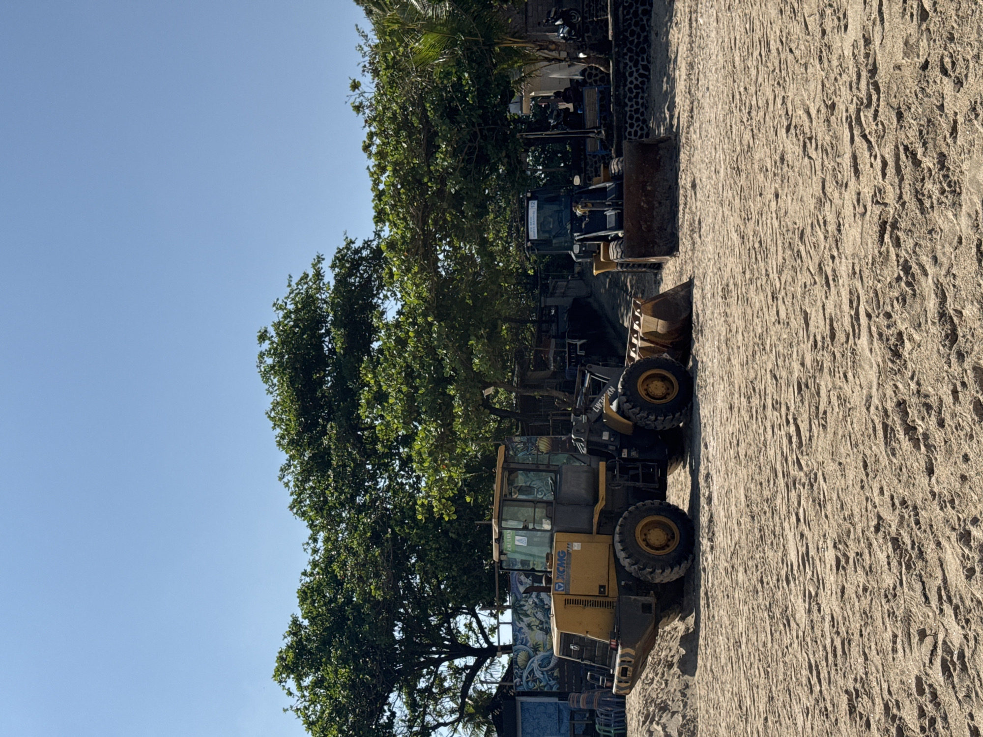 This image captures a bright, sunny outdoor scene in Kuta, Indonesia, featuring several pieces of heavy machinery parked on a sandy terrain. The image is oriented vertically but depicts a horizontal landscape.
In the foreground and midground, multiple yellow front-end loaders or wheel loaders are visible. The most prominent loader in the foreground features the "XCMG" logo on its side and "LW200KN" near its front wheel. Text that appears to read "ANELTHA" is visible on the cab window. Further back, another loader displays a sign above its cab that reads "PENGANGKUT SAMPAH 12," which translates to "Garbage Transporter 12."
To the left of the machinery, a dense line of vibrant green trees, including some palm trees, lines the edge of the sandy area, with their foliage extending upwards into a clear blue sky. Behind the parked equipment and trees, glimpses of structures are visible, including what appears to be a wall adorned with colorful graffiti or artwork. Other smaller vehicles, possibly motorcycles, are also discernible parked under the trees in the background.
The ground covering the majority of the right side of the frame is light-colored sand, heavily textured with distinct ripples and uneven patterns, typical of a beach or disturbed sandy area. The bright sunlight and lack of clouds indicate clear weather during the day, likely morning or early afternoon. The scene suggests a work environment, possibly related to beach maintenance, construction, or waste management in a coastal setting.