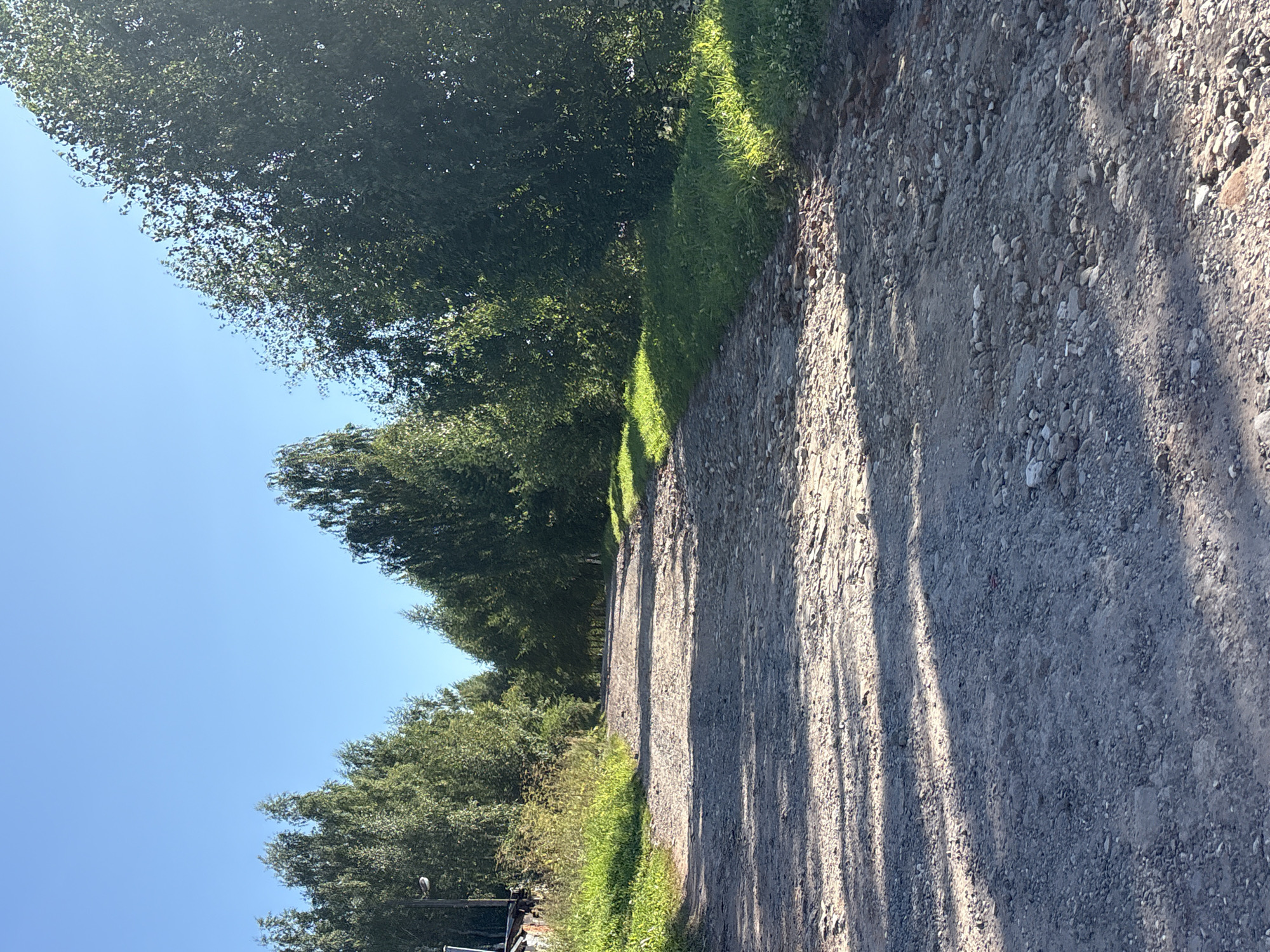 The image depicts a sunlit, unpaved road in the city of Overyata, Russia. The road is characterized by loose gravel and stones, suggesting a rural or developing area. Lush green trees line both sides of the road, forming a canopy that casts dappled shadows onto the path. The sky above is a clear, bright blue, indicating fair weather. On the left side of the road, tall grass and some bushes are visible, with a hint of a structure partially obscured by vegetation. The overall impression is one of a peaceful, natural setting on a sunny day.