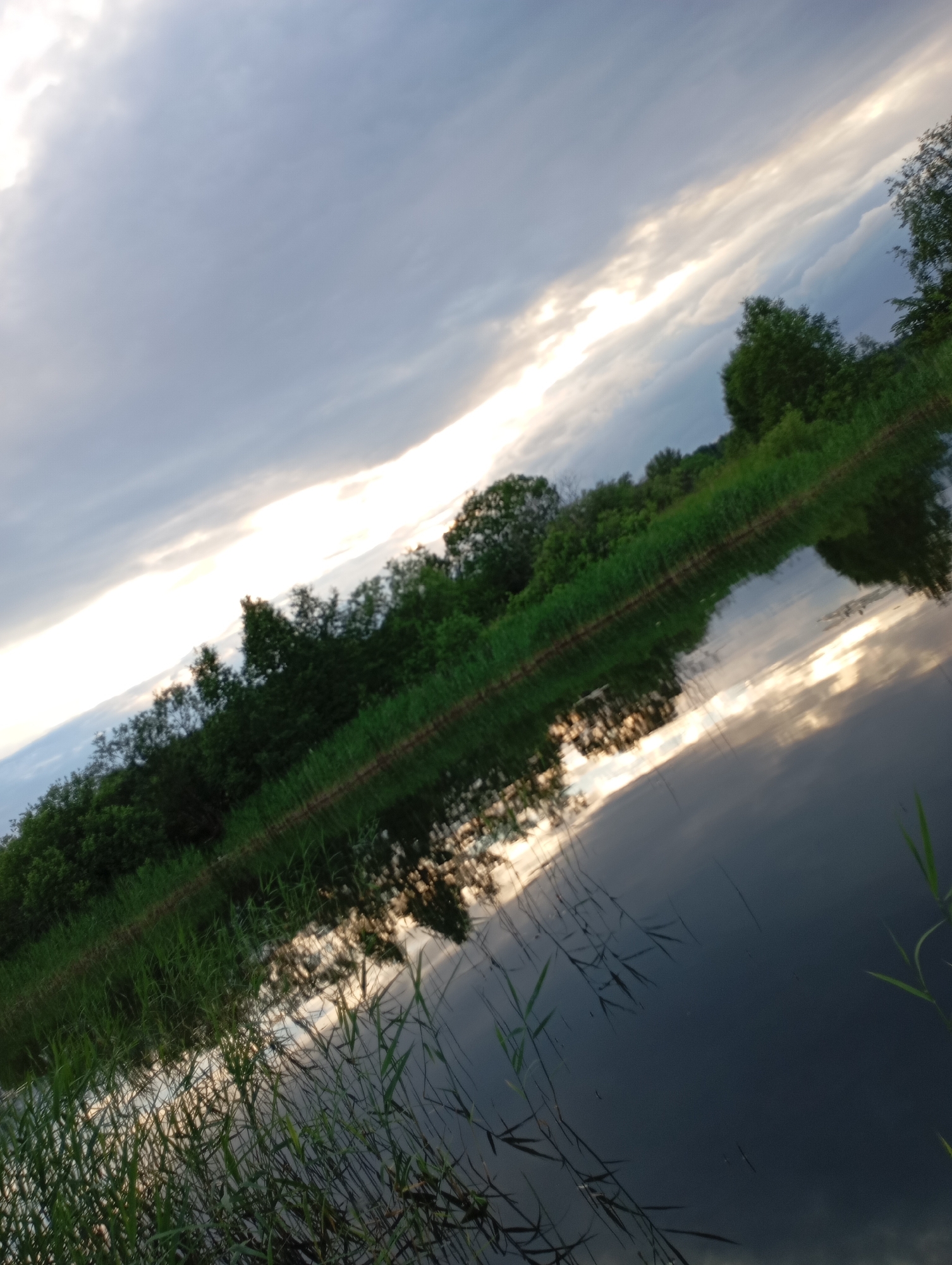 The image shows a body of water, likely a lake or river, with reflections of trees and clouds. The foreground consists of tall green grass and reeds on the bank of the water. The water itself is dark and still, with ripples that distort the reflections. In the background, a dense line of green trees and bushes borders the water. Above the trees, a dramatic sky is visible, with a diagonal band of bright sunlight breaking through dark, cloudy masses. The image is taken at an angle, giving a sense of perspective. The location is identified as Ryabki, Russia. There are no people or animals visible in the image.