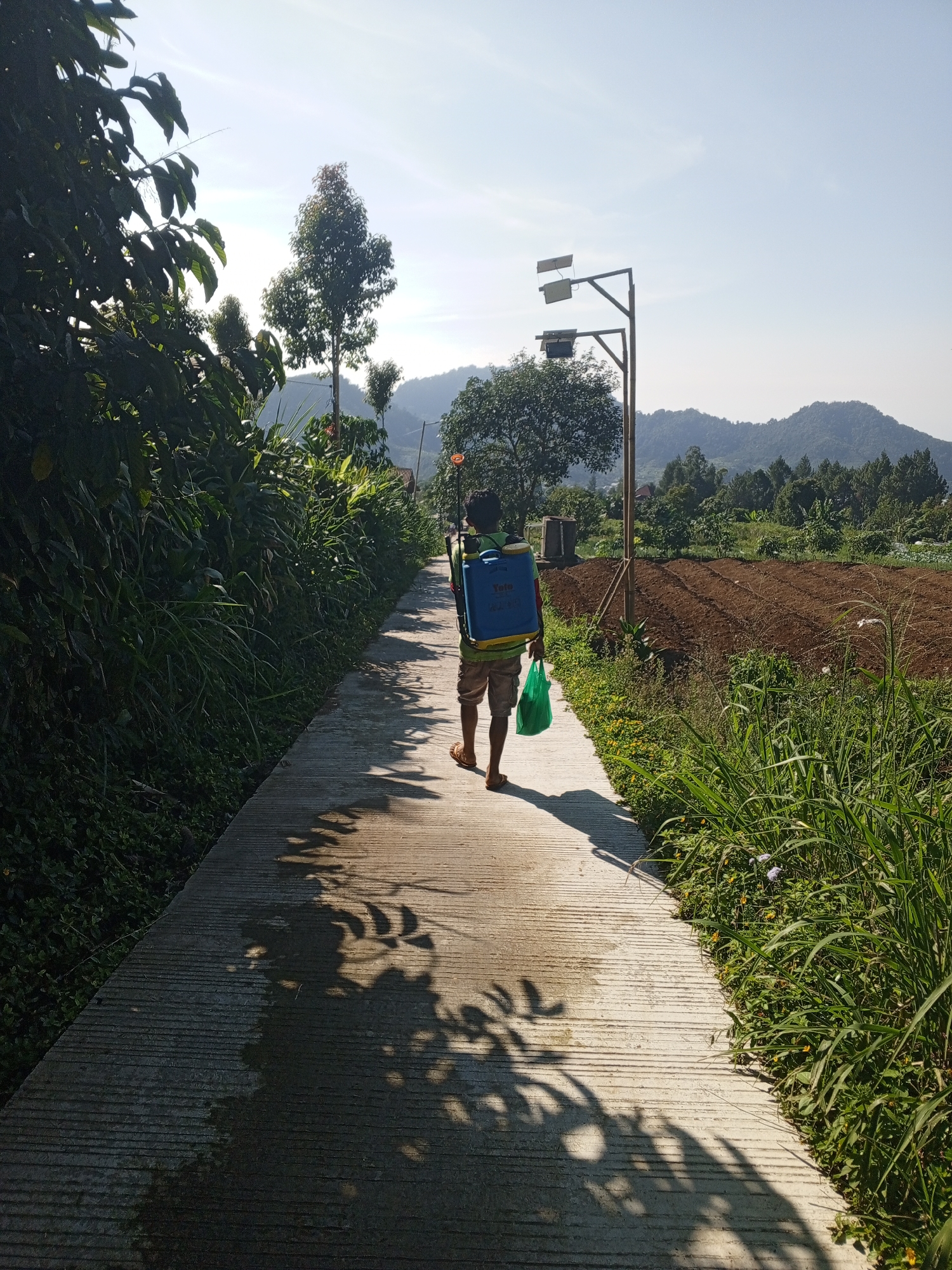 A man walks away from the camera on a concrete path. He wears a blue backpack-style sprayer and carries a green plastic bag. The path is bordered by dense green foliage on the left and taller grasses and a tilled field on the right. Solar-powered streetlights stand in the distance. Hills are visible in the background under a clear sky. Shadows of foliage dapple the path. This scene appears to be in a rural area, potentially near Kudawa, Sri Lanka.