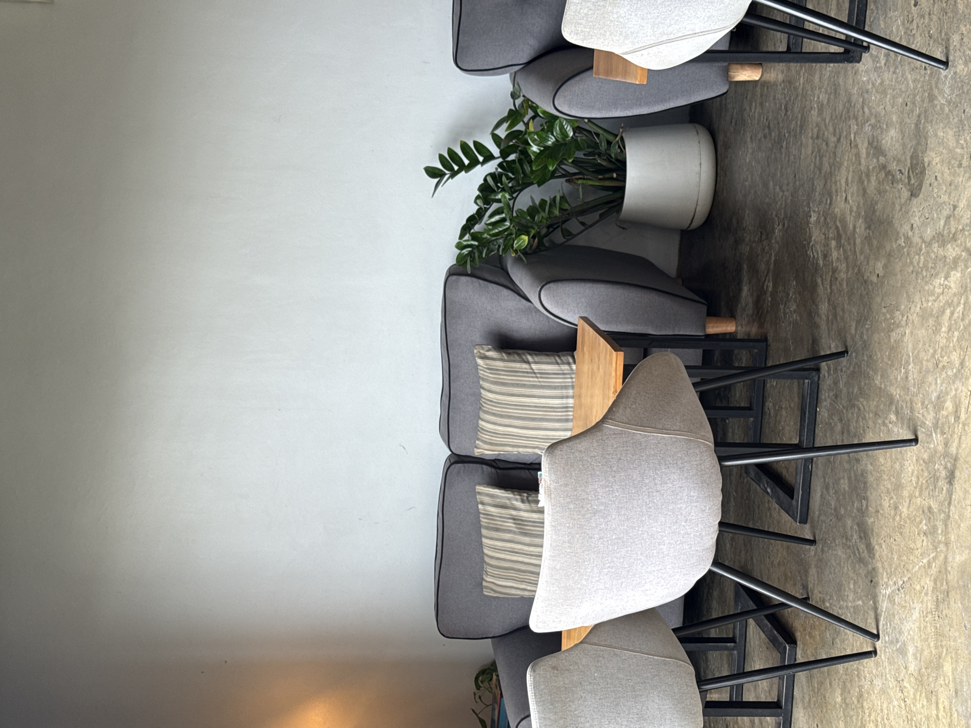 This is a medium-angle, eye-level shot of a seating area in what appears to be a cafe or lounge, likely located in Baan Bo Phut, Thailand. The environment is minimalist and modern, with concrete floors and a plain white wall as the backdrop.
In the center of the image, two grey upholstered sofas are arranged side-by-side. Each sofa has a dark trim along its edges and is adorned with two striped cushions in neutral tones of beige and grey. A small, light-wood square table is placed between the two sofas, positioned in front of the right sofa.
In front of the sofas, partially obscuring them from view, are three light grey upholstered chairs with thin black metal legs. Two of these chairs are positioned closer to the viewer, with their backs facing the camera. The third chair is to the left and is angled slightly away.
To the right of the sofas, a tall, leafy green plant in a white cylindrical pot stands prominently. Its dark green leaves contrast with the otherwise neutral color palette of the scene. Another grey upholstered chair and a part of a sofa are visible on the far right edge of the image, suggesting a continuation of the seating arrangement.
The lighting is soft, with a warm light source coming from the left, casting a subtle glow on the wall and the left side of the scene. There are no people visible in the image. The overall impression is one of a clean, serene, and comfortable space designed for relaxation or conversation.