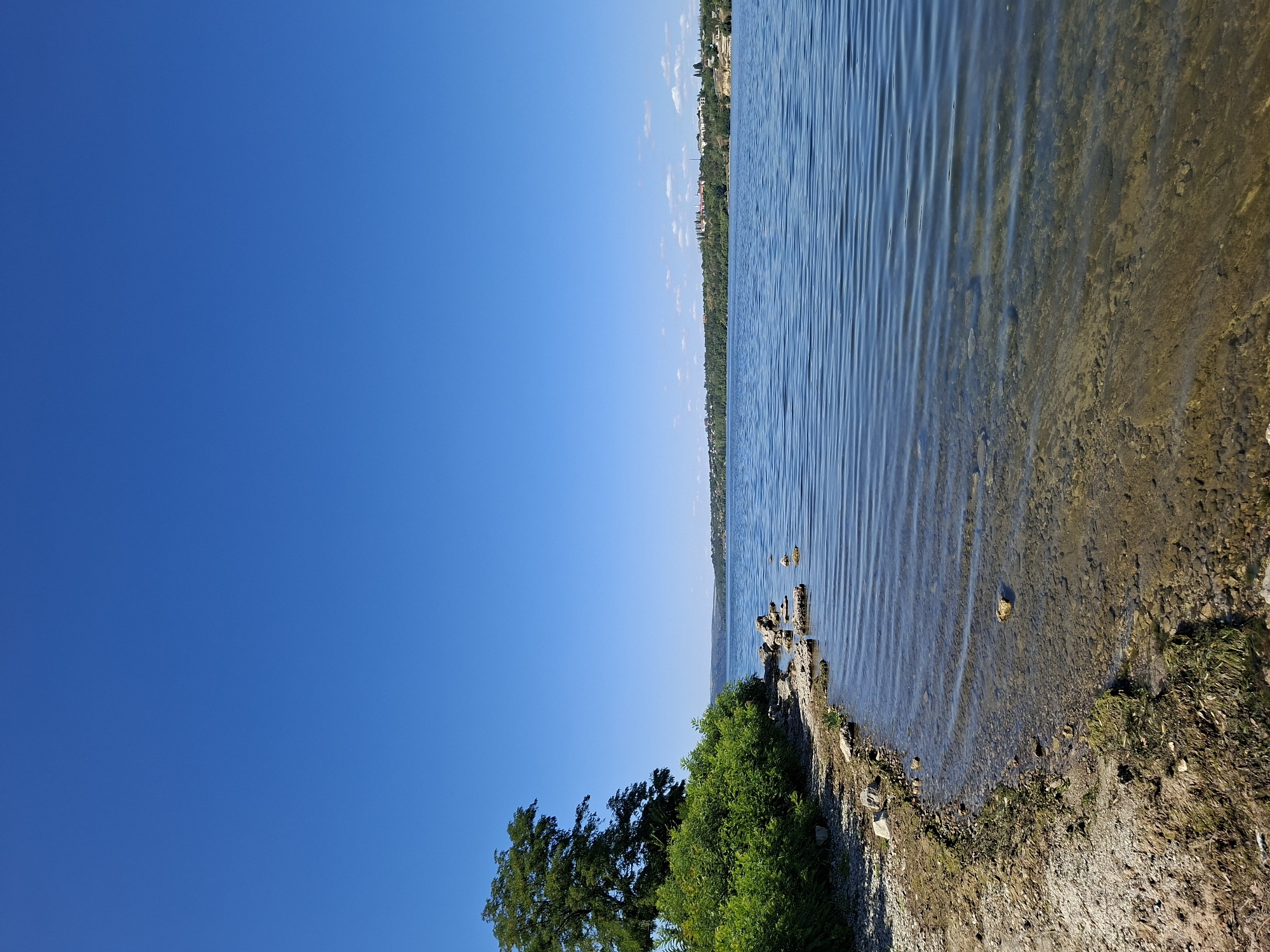 The image depicts a wide, calm river under a clear blue sky. The foreground features a rocky, sparsely vegetated shoreline with shallow, clear water revealing submerged pebbles and sand. To the left, a dense cluster of green bushes and a large tree with full foliage line the bank. The middle ground shows the expanse of the river with gentle ripples reflecting the sky, and the far bank is lined with a green, wooded landscape dotted with buildings, suggesting a settlement. The buildings are concentrated on a hill overlooking the river, indicative of the city of Ustia, Moldova. The overall scene is one of a serene, natural landscape with signs of human habitation in the distance.