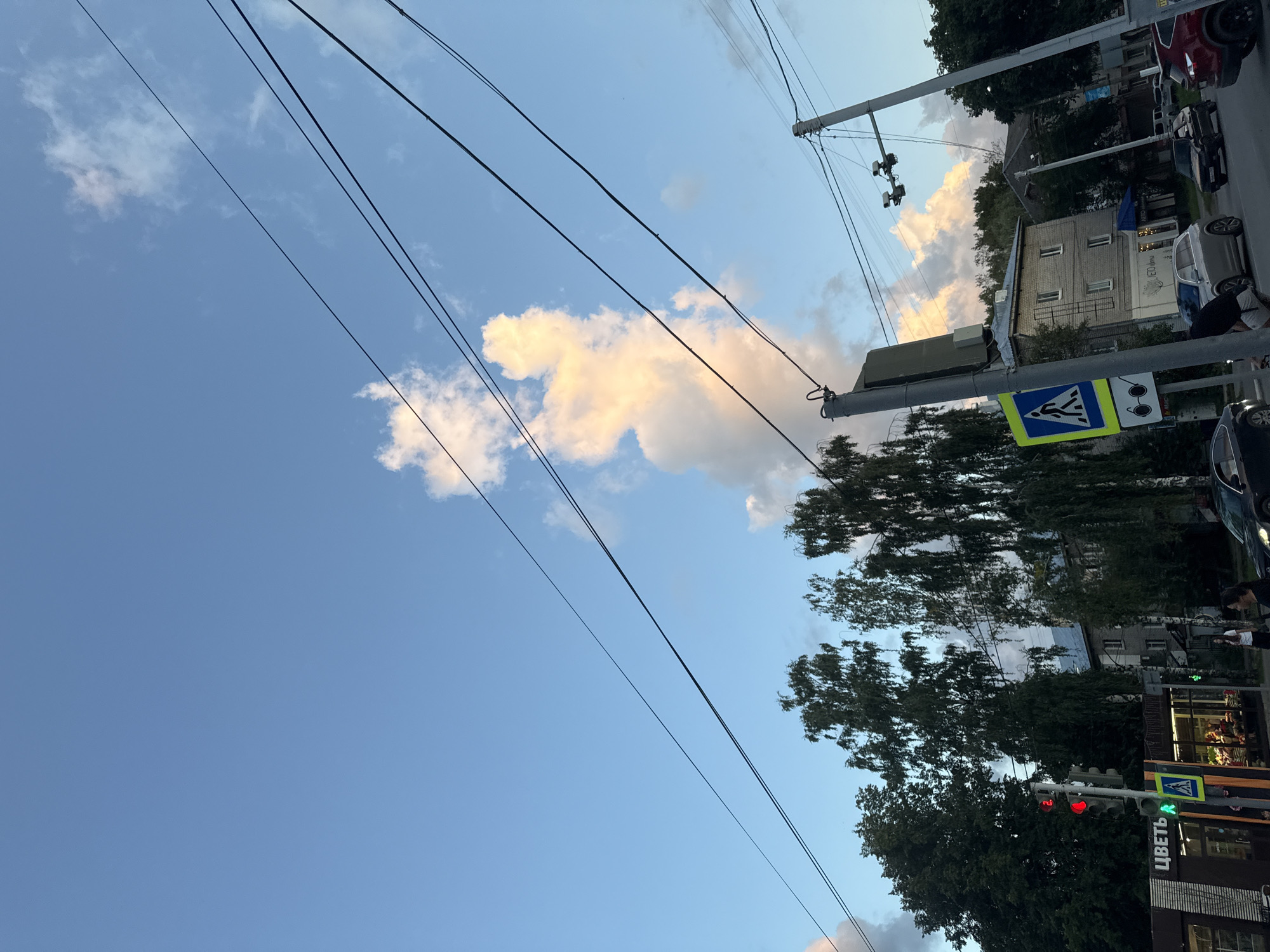 The image captures a street scene in Chaikovsky, Russia, under a partly cloudy sky. A traffic light displays a red signal for vehicles. Adjacent to the traffic light, a pedestrian crossing sign is visible, with a sign depicting glasses below it. Several tall trees line the street, with buildings visible behind them. Overhead, power lines crisscross the sky, some casting shadows. In the foreground, cars are present on the road, and a shop with the word "ЦВЕТЫ" (Flowers) written on its facade is on the left. The sky is a mix of blue with scattered clouds, some of which are illuminated by the sun, creating a soft, warm glow.