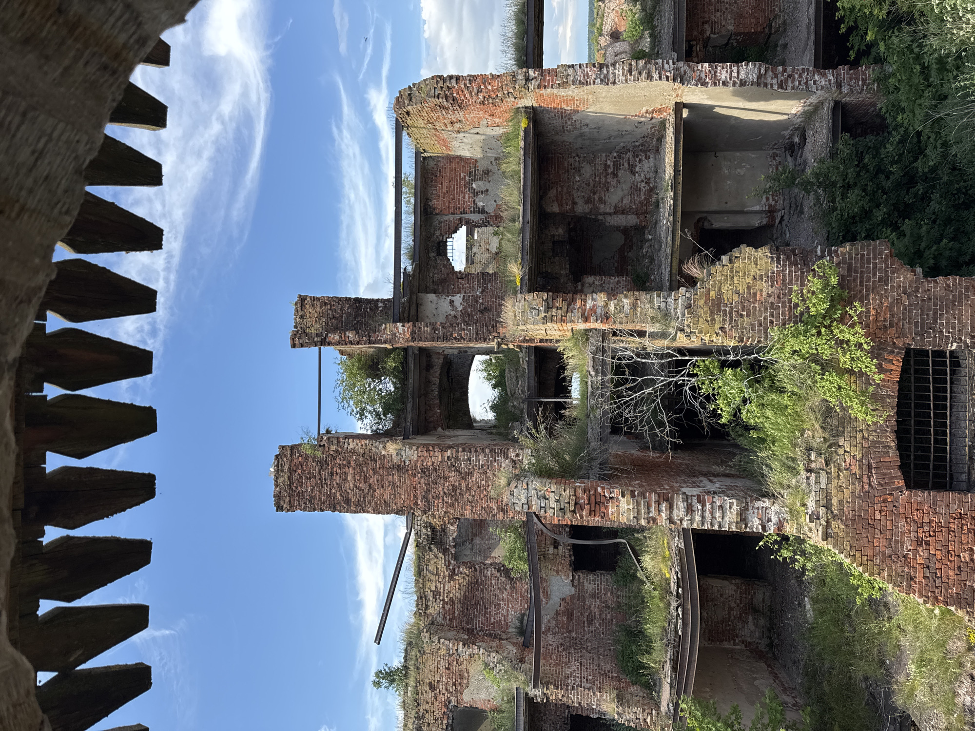 The image depicts the ruins of a brick building, possibly an old industrial structure, under a bright blue sky with scattered white clouds. The building is in a state of severe decay, with missing walls and floors, and vegetation growing through the structure. Metal beams and bars are visible, suggesting former structural elements.
In the foreground, to the left, is a close-up of weathered wooden elements with a toothed or serrated edge, possibly part of a large gear or some sort of mechanical equipment. This element is angled and extends from the bottom left corner upwards, creating a stark contrast with the sky and the ruined building.
The main subject is the crumbling brickwork of the building, which shows signs of age and neglect. The texture of the bricks, some stained or weathered, is prominent. Greenery, including small trees and grass, is intermingled with the ruins, indicating a period of abandonment and nature reclaiming the site.
The scene is set outdoors, with a clear indication of daylight, likely midday given the bright sun and the quality of light. The weather appears to be fair and sunny. The overall impression is one of desolation and the passage of time, highlighting the contrast between man-made structures and the persistent growth of nature. There is no visible text or people in the image. The location context of Shlisselburg, Russia, suggests this could be a historical or industrial site within that region.