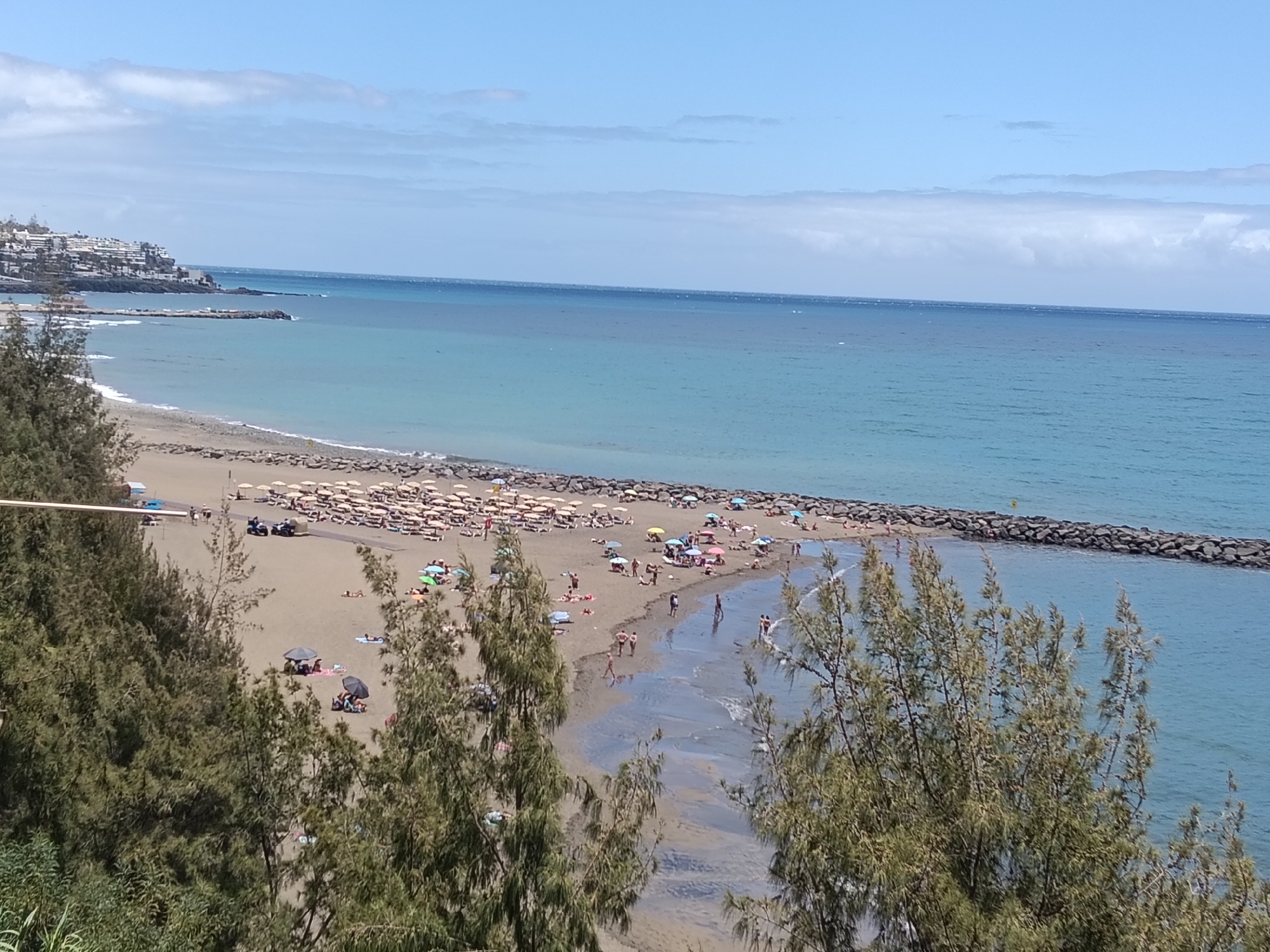 The image captures a beach scene in San Bartolomé de Tirajana, Spain. The scene features a sandy beach with a dense array of beach umbrellas and sunbathers. The beach is framed by green vegetation in the foreground and the blue expanse of the ocean. A breakwater is visible in the water, extending from the beach. The sky is blue with light clouds. In the distance, there's a cluster of buildings along the coastline. People are scattered across the beach, some sunbathing, some walking along the water's edge, and others standing in groups.