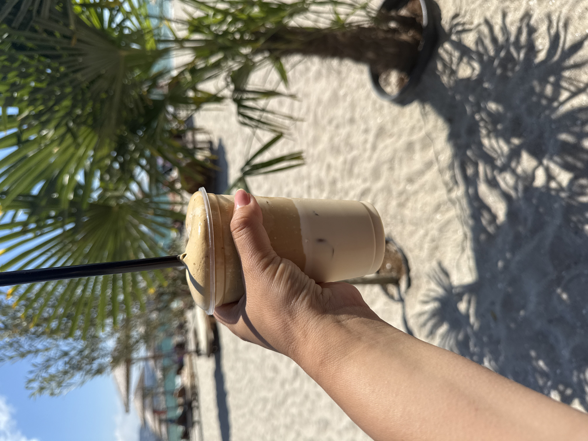 A hand holds a clear plastic cup filled with a light brown iced beverage and ice cubes. A black straw extends from the cup. The beverage appears to be some kind of coffee or latte. The background is a sandy area with shadows of palm fronds cast across it, suggesting it is daytime and sunny. A portion of a palm tree in a dark pot is visible to the right of the cup. In the distance, there are blurred structures and greenery, hinting at an outdoor setting, possibly a cafe or resort. The image is taken from a slightly low angle, focusing on the hand and the drink. The overall mood is casual and relaxed, perhaps a moment of enjoying a cool drink on a warm day. There is no visible text in the image.