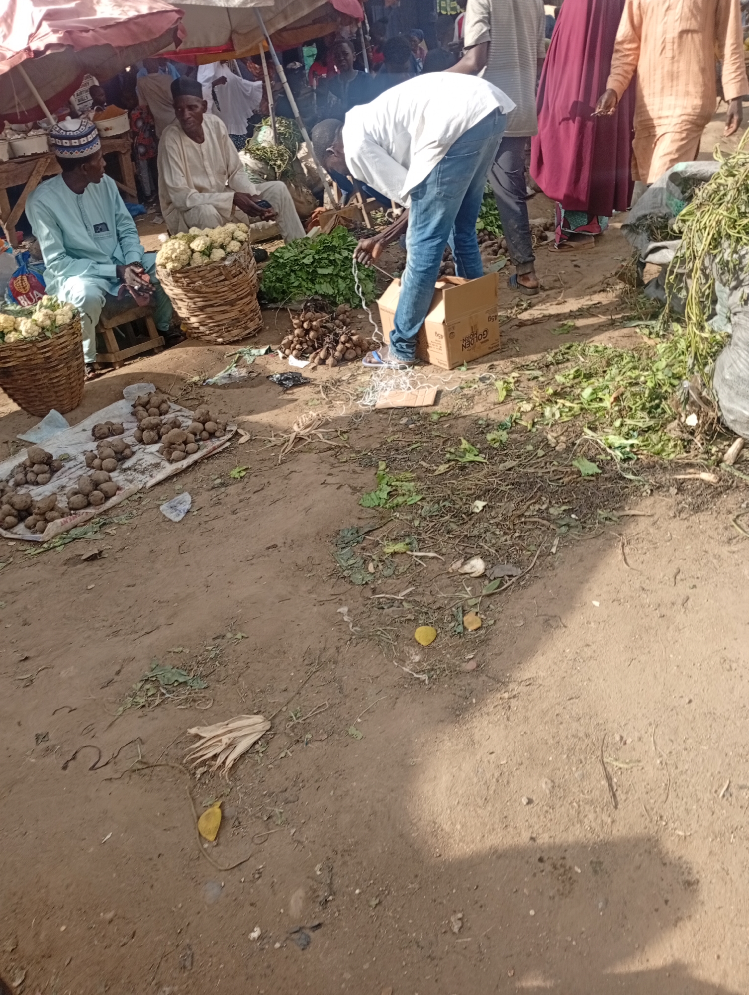 The image depicts an outdoor market scene in Rafin Par, Nigeria. In the foreground, the sandy ground is littered with dirt, dry leaves, and some discarded plastic. Piles of harvested root vegetables, likely yams or similar tubers, are spread out on a white cloth in the lower left quadrant. A few yellow objects, possibly fruit or discarded wrappers, are also present. In the middle ground, two men are seated. One, wearing a light blue traditional outfit and a patterned cap, is looking towards the right. The other, in a cream-colored traditional outfit, is seated behind a large woven basket filled with white cauliflower. To the right of the seated men, a man in a white shirt and blue jeans is bent over, interacting with a cardboard box labeled "GOLDEN HORN." Beyond him, other market-goers in traditional attire are visible, including a woman in a maroon dress and a man in a light orange tunic. Large quantities of leafy green vegetables are piled up in woven baskets and sacks in the background, and the scene is partially covered by a striped awning. The overall environment suggests a bustling local marketplace.