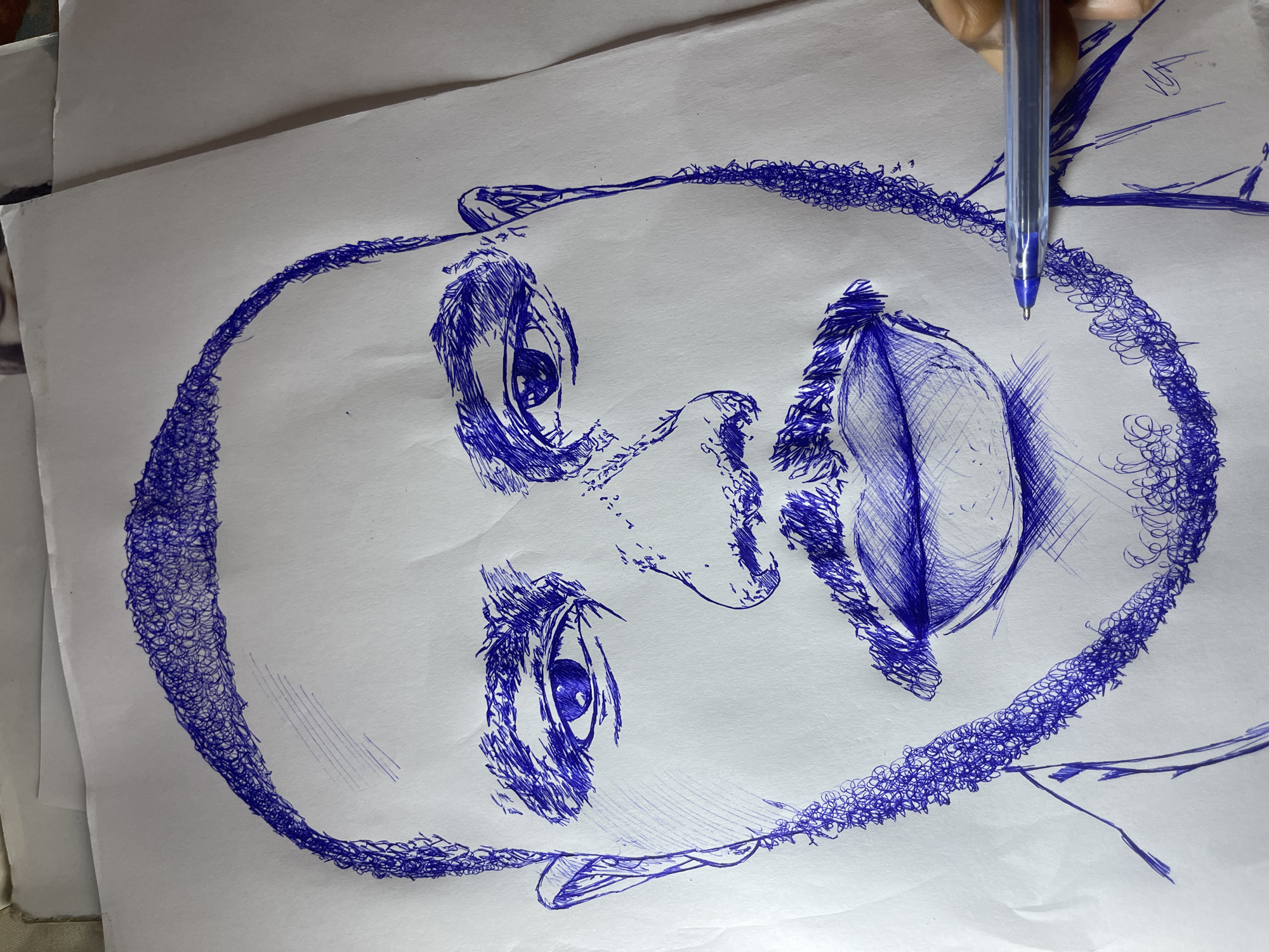 The image is a close-up, overhead shot of a ballpoint pen drawing on a white piece of paper. The drawing depicts a portrait of a man's face, rendered in blue ink. The man has a shaved head with a textured hairline, dark eyebrows, and visible stubble on his cheeks and chin. His eyes are open, and he has a mustache and full lips. The drawing style is characterized by a loose, energetic cross-hatching and scribbled technique, particularly evident in the hair, beard, and lips.
The paper is slightly crumpled and appears to be laid on top of other papers, with some creases visible. A blue ballpoint pen, held by a person's hand which is partially visible on the right side of the frame, is positioned near the lower right corner of the drawing, with its tip resting on the paper. The drawing itself is the primary subject.
The prompt requests information about the "location in the city of Jos, Nigeria." However, there are no visual cues within the image itself that indicate its location in Jos, Nigeria. The image solely focuses on the drawing and the act of drawing.