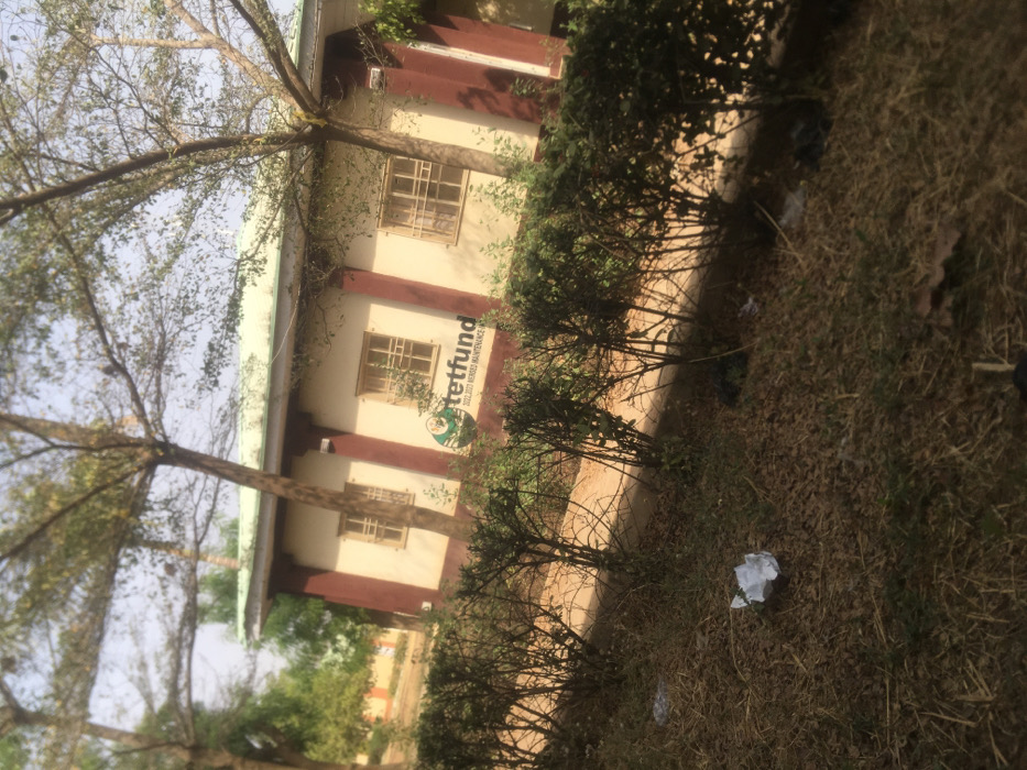An outdoor scene in the city of Pindiga, Nigeria, depicts a single-story building partially obscured by vegetation under a clear, bright sky. The building features light beige walls with prominent reddish-brown vertical pillars and a light green roofline. Multiple rectangular windows with security bars are visible. A large green and white logo reading "tetfund" with the subtitle "2022-2023 MERGED MAINTENANCE IA" is affixed to the building's facade. In front of the building, a line of dark green, somewhat overgrown shrubs forms a boundary. The foreground consists of dry, brownish-green grass and scattered dry leaves, with several pieces of crumpled white paper visible as litter. Several trees with sparse green foliage and visible branches frame the building, one leaning tree trunk is prominent in the midground. No individuals are present.