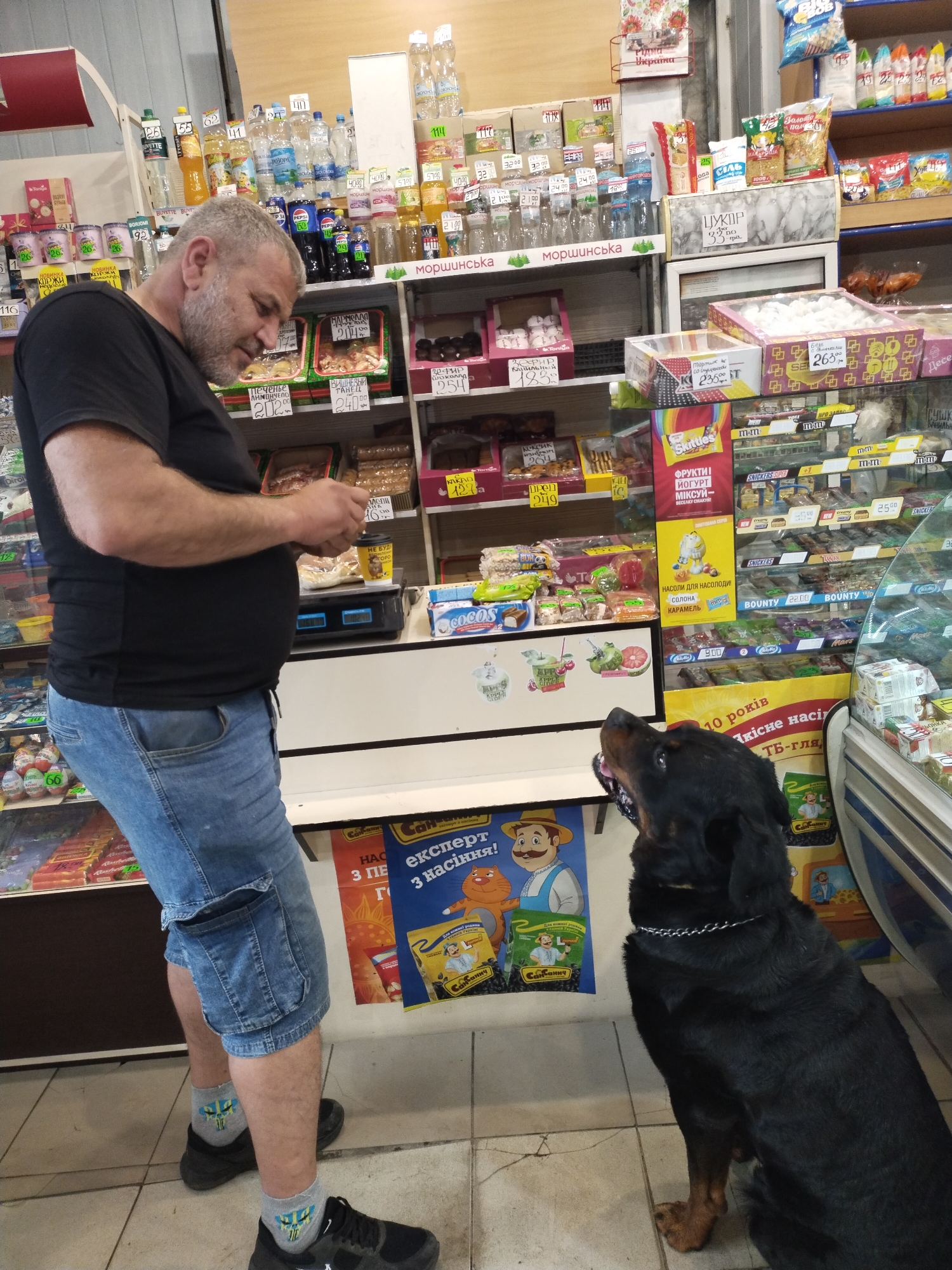 A middle-aged man wearing a black t-shirt and blue jean shorts stands inside a shop next to a black Rottweiler dog. The man is looking down at a device in his hands. The dog is looking up at the man. Behind the man and dog are shelves of various food products. The shop is located in Horishni Plavni, Ukraine. There are price tags written in Ukrainian on the shelves of the shop. The floor is covered in light-colored tiles.