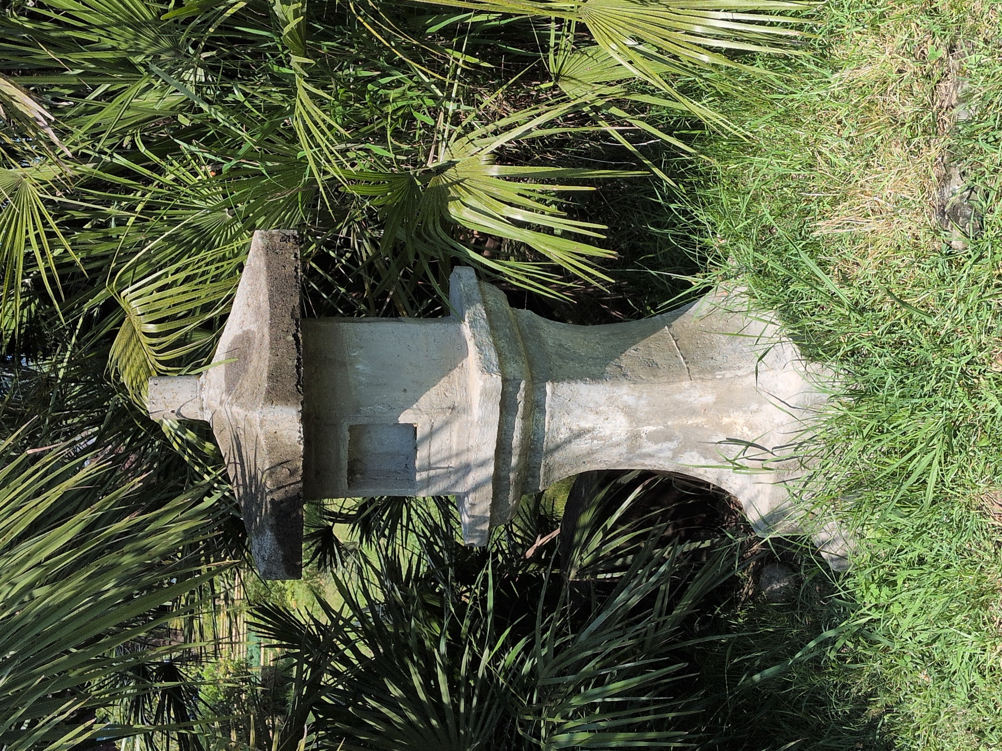 The image depicts an outdoor scene with lush green vegetation, primarily palm fronds and grass, surrounding a weathered concrete structure. The structure appears to be a fragment of some larger object, possibly architectural or utilitarian, with a hollowed-out section and angled surfaces. The concrete is a light gray, showing signs of age and exposure to the elements, with some darker patches and shadows.
The scene is densely populated with tropical-looking plants, suggesting a warm climate. The palm fronds are long and spiky, casting dappled shadows on the concrete and the ground. The grass is a vibrant green in some areas and slightly drier and browner in others, indicating variations in sunlight or moisture. The lighting suggests it is daytime, with strong sunlight creating sharp contrasts.
The context of Sochi, Russia, known for its subtropical climate and coastline, aligns with the visual cues of the vegetation. The overall impression is one of a natural, overgrown setting where an man-made object has been partially reclaimed by nature. There is no discernible activity or event taking place; the scene is static, focusing on the interplay between the concrete form and its verdant surroundings. No people or text are visible in the image.