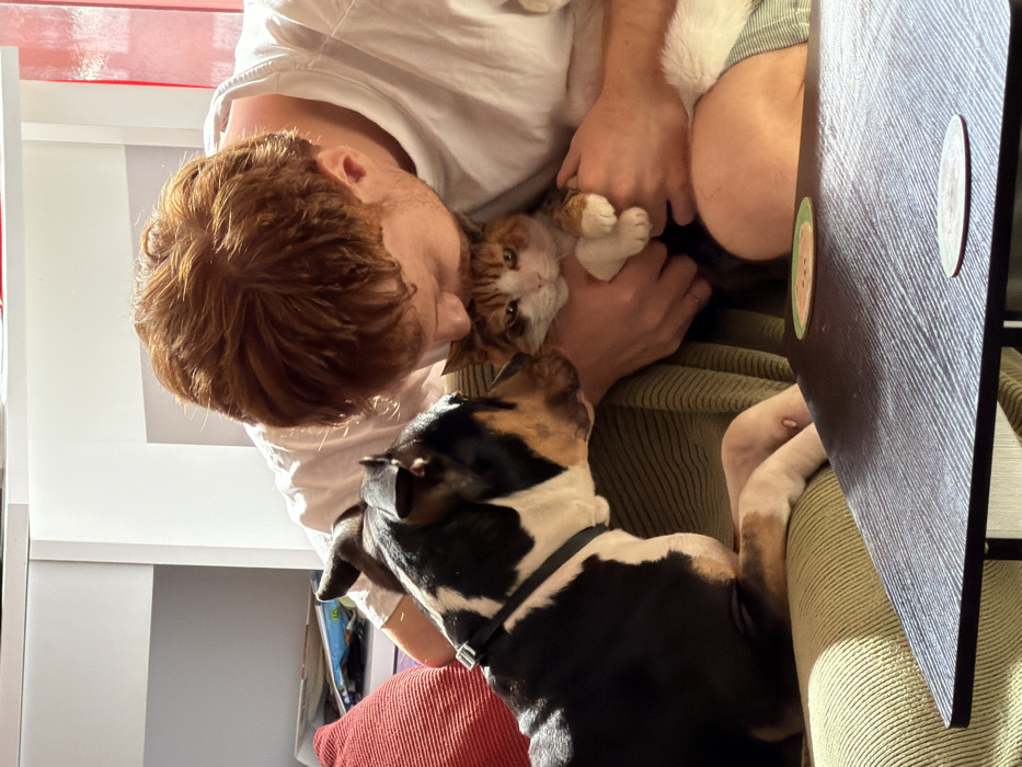 An indoor scene in Tel-Aviv, Israel, depicts a male individual interacting with two pets. A man with reddish-brown hair, wearing a white t-shirt and striped shorts, is seated on a light green, ribbed sofa. He holds a calico cat (white, orange, and dark brown markings) with both hands, its front paws tucked. His head is bent forward, appearing to kiss or nuzzle the cat's forehead. To the man's left, a black, white, and tan dog, possibly a bull terrier mix, wearing a black collar, is positioned on the sofa. The dog's snout is directed towards the cat's face. A red, ribbed pillow is partially visible on the far left of the sofa. In the foreground, a dark-colored wooden coffee table with a visible grain texture holds two circular coasters, one green with an orange design and another lighter coaster. White shelving units or cabinets are present in the bright background, with sunlight illuminating the right side of the frame.
