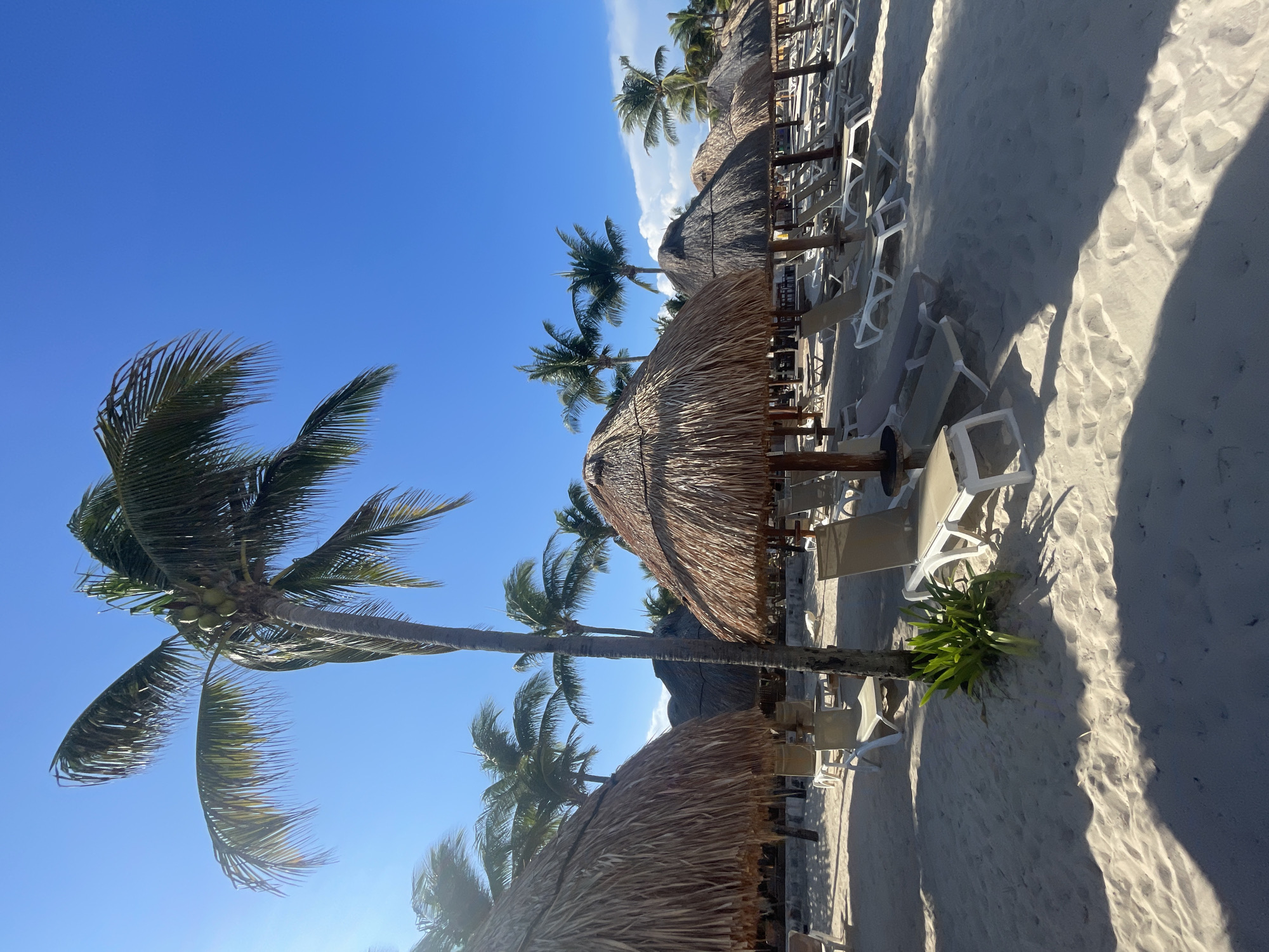 The scene is a sunny beach in Playa del Carmen, Mexico, featuring rows of thatched-roof umbrellas providing shade over lounge chairs on a white sandy beach. Several palm trees are visible against a clear blue sky, and their shadows stretch across the sand. No people are readily apparent in the immediate view. The overall environment suggests a resort or vacation setting.