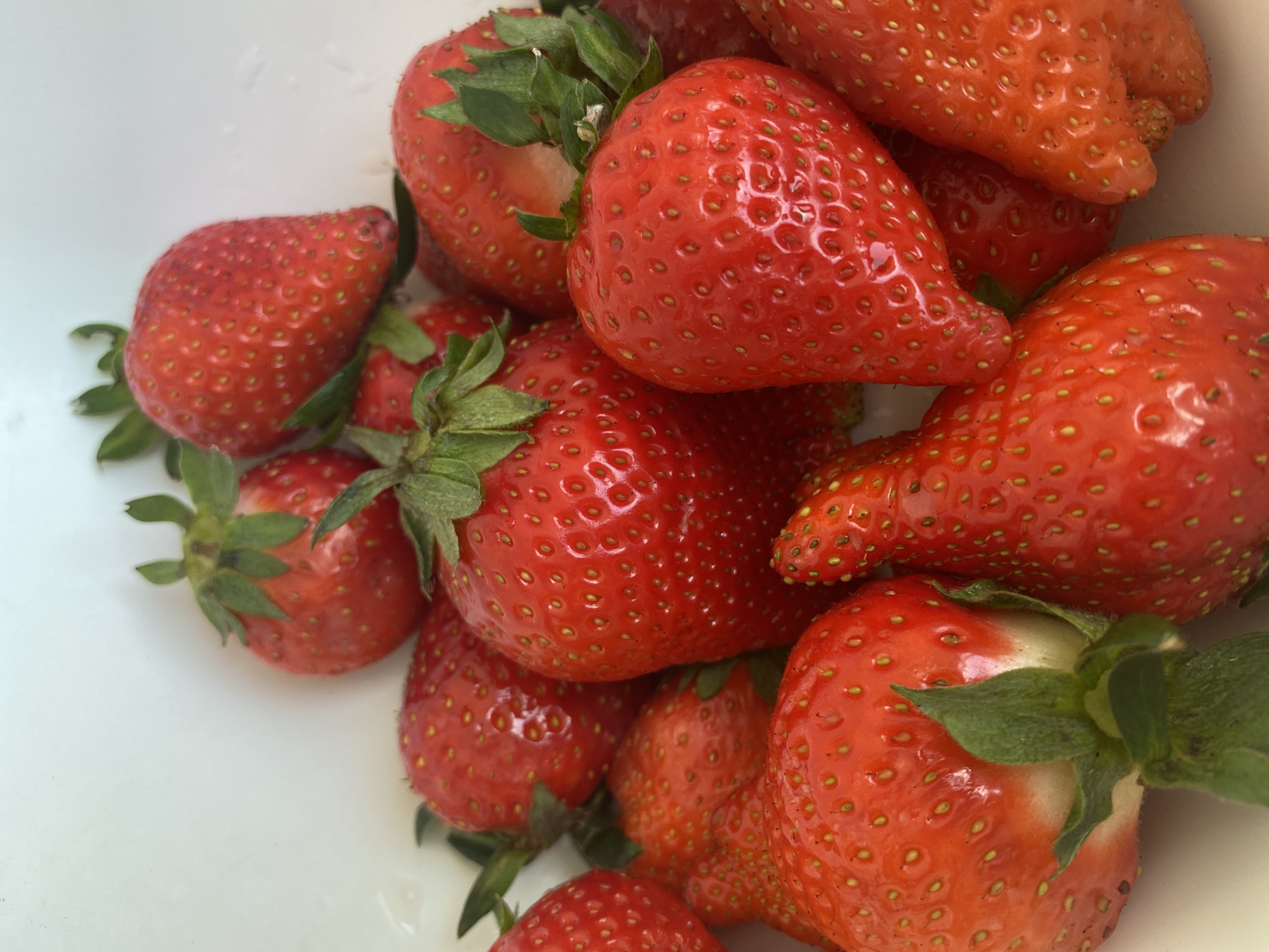 A close-up shot captures a generous pile of fresh, ripe strawberries nestled within a white bowl or container. The dominant color is a vibrant, deep red, with some strawberries displaying lighter, almost orange-red tones, indicative of their ripeness. Most of the strawberries still have their bright green calyxes and short stems attached, suggesting they are freshly picked. Their characteristic surfaces are covered with numerous small, yellowish-green achenes.
The strawberries vary slightly in size and shape, contributing to a natural and organic appearance. A subtle sheen on their skins hints at freshness, possibly from natural moisture or a recent rinse. The white background of the bowl creates a clean contrast, allowing the rich red hues of the fruit to stand out prominently. The arrangement conveys a sense of abundance and readiness for consumption. The image effectively highlights the natural beauty and freshness of the fruit, originating from Sevastopol, Ukraine.