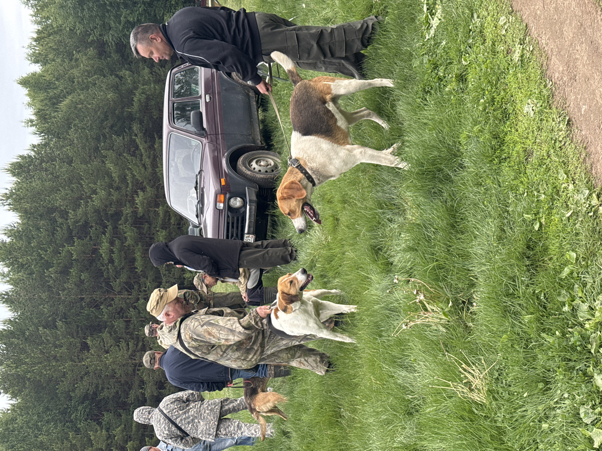 A group of people is standing in a grassy area in front of a forest, with an old, dark-colored car parked nearby. Some of the individuals are wearing camouflage clothing. At least three dogs are present, held on leashes by some of the people. The scene appears to be outdoors, possibly at the edge of a forest in Chaikovsky, Russia, based on the license plate of the car.