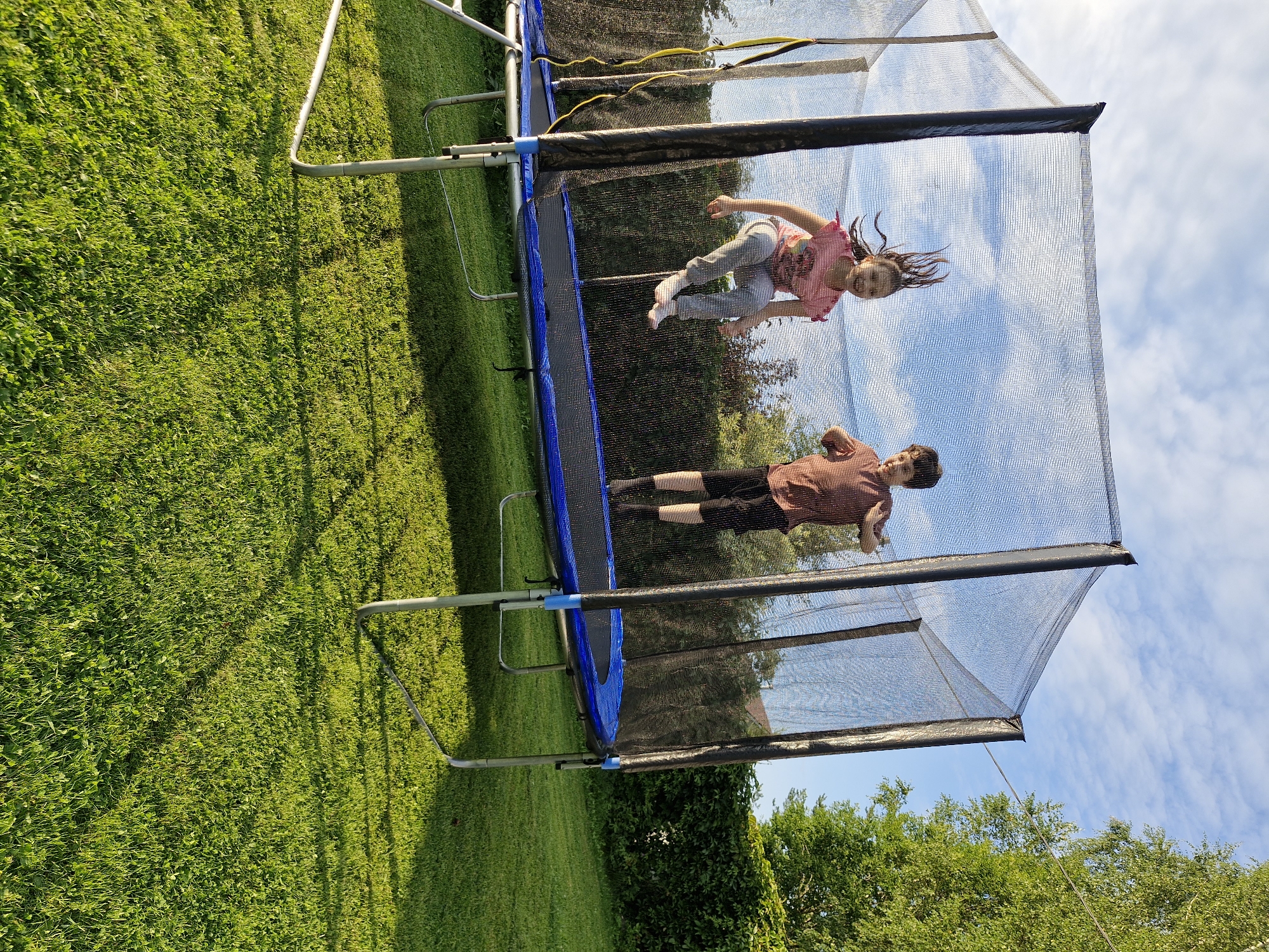Two children, a girl and a boy, are jumping on a rectangular trampoline in a grassy backyard. The girl, on the left, is wearing a pink t-shirt and grey pants, with her hair flying upwards. The boy, on the right, is wearing a brown t-shirt and black shorts. The trampoline has a black safety net surrounding it and a blue padded edge. The background consists of a lush green lawn, dense green foliage, and a bright blue sky with scattered clouds. The scene appears to be set in a suburban or rural location, possibly Sorochkino, Russia, given the context of the question, during daylight hours with natural lighting. The overall atmosphere is one of playful activity and outdoor recreation.