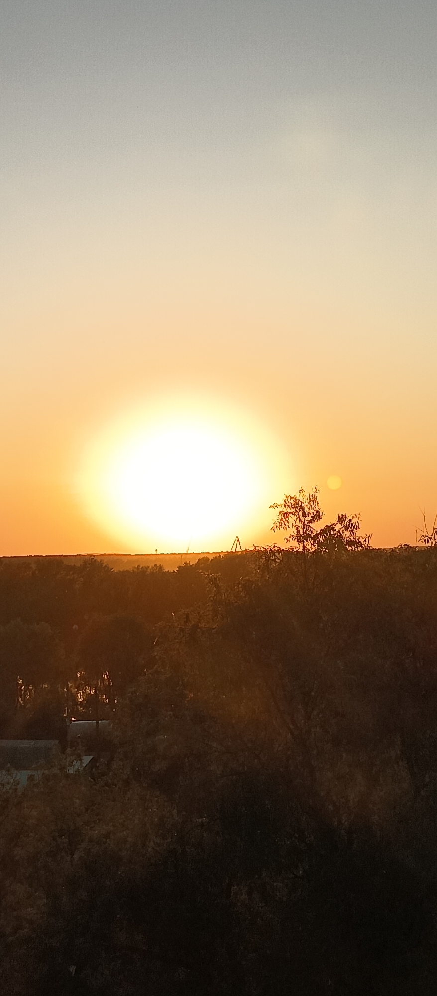 The image depicts a landscape at sunset. The sun is positioned low in the sky, dominating the horizon with its bright glow. The sky transitions from a pale gray at the top to a vivid orange near the sun. A silhouette of a tree is visible to the right of the sun. In the middle ground, the scene features an indistinct terrain of trees and foliage. The lower part of the image shows darker vegetation suggesting foreground elements. A structure can be seen among the trees. In the distance, what appears to be an industrial structure is barely visible. The location is presumed to be in an urban or semi-urban area during twilight hours. The sun seems to be the primary light source of the image.