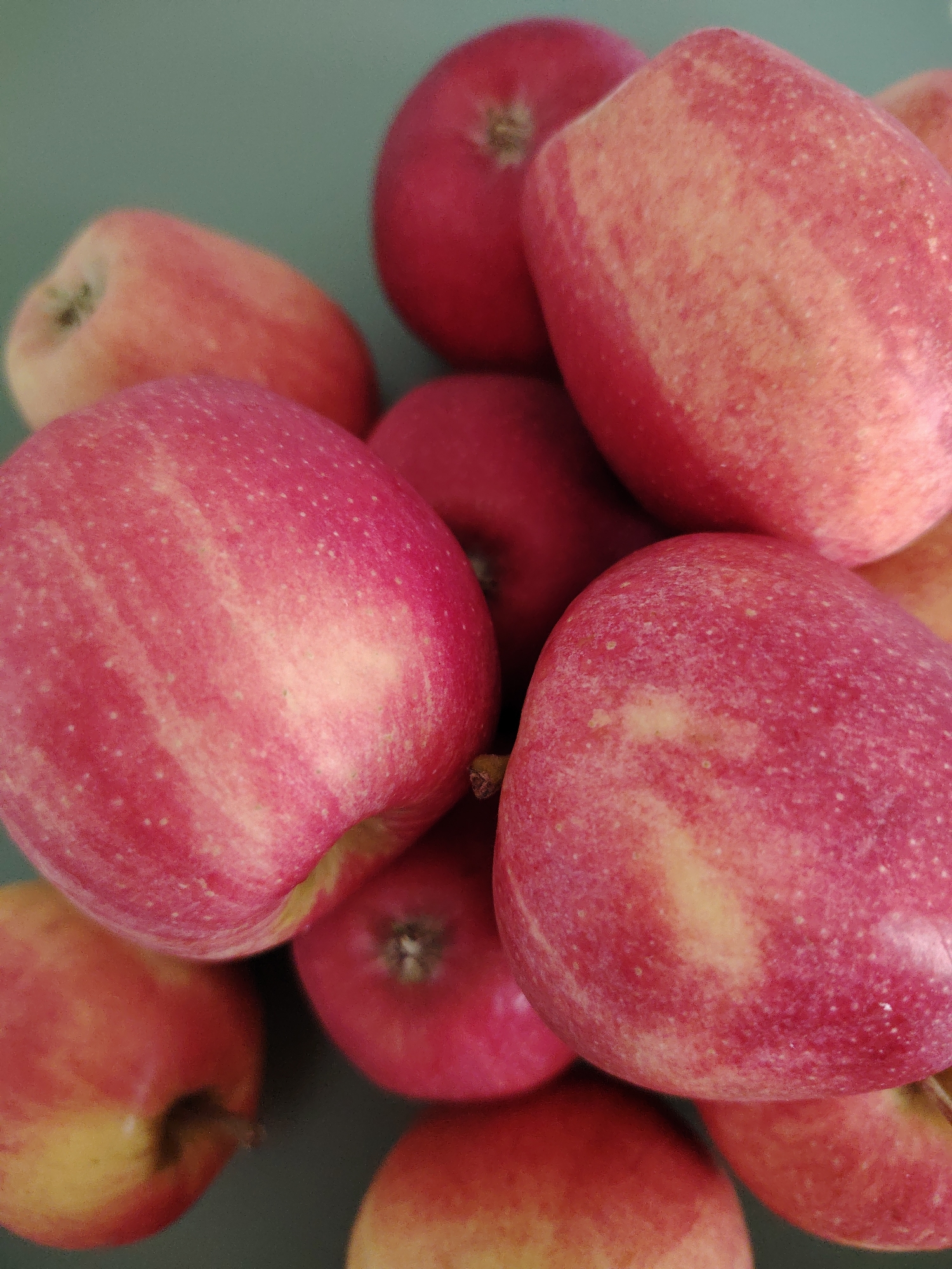 The image shows a close-up, overhead view of a pile of red apples against a muted green background. The apples are various sizes and are clustered together, with some overlapping each other. Their surfaces display streaks of red and yellow, with small white speckles visible on some. The lighting is diffused, creating soft shadows and highlighting the texture of the apple skins. There are no people or any signs of human activity evident in the image. The image does not contain any visual information that could be used to determine its location in the city of Кривец, Russia.
