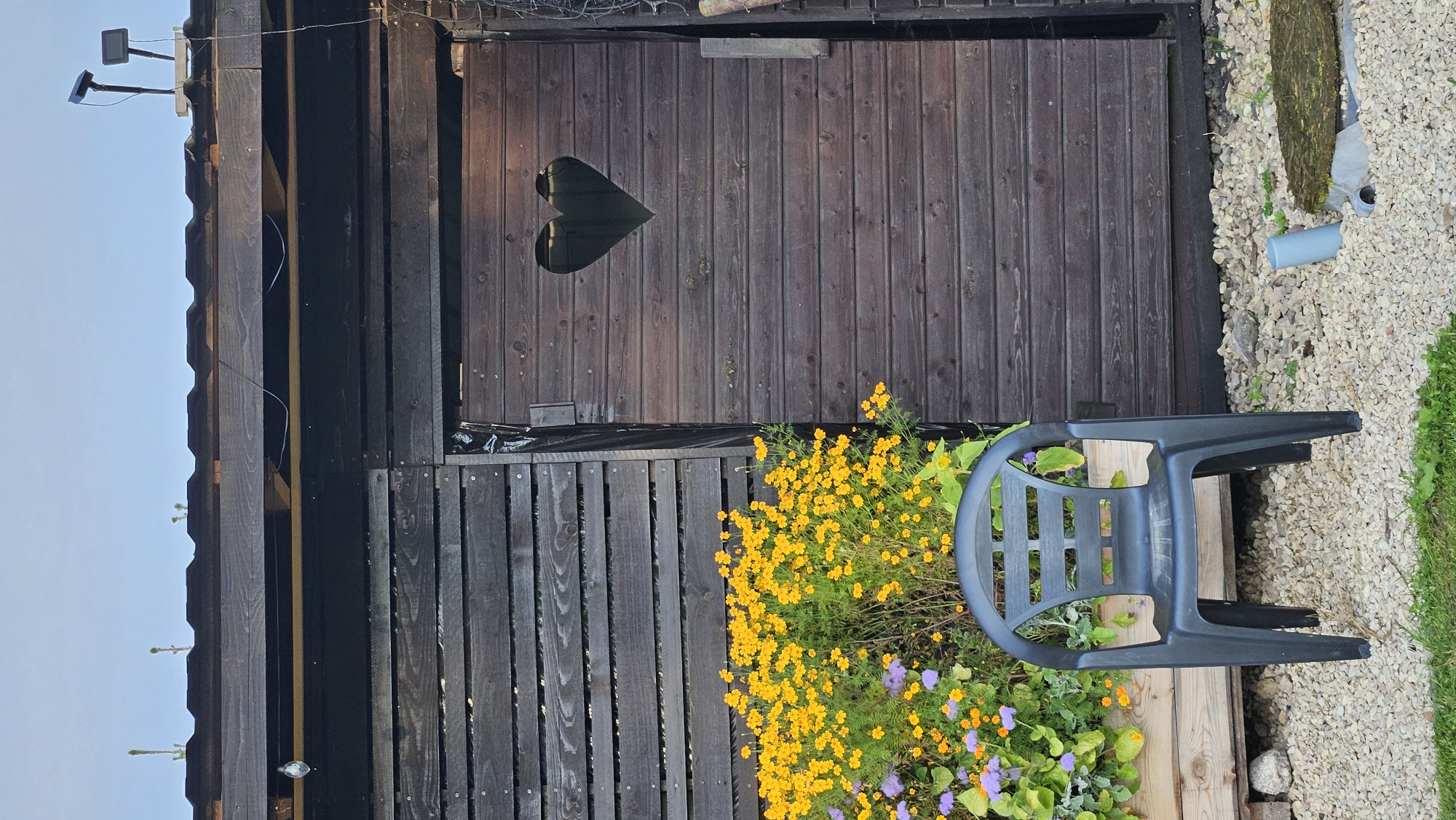 This image captures an outdoor scene in Kākciems, Latvia, likely a backyard or a garden area. In the foreground, a dark gray plastic chair sits on a surface covered with light-colored gravel. To the left of the chair, a raised planter box contains a dense growth of vibrant yellow flowers, interspersed with smaller purple blooms and green foliage. Behind the planter box and chair, a dark wooden structure dominates the background. This structure appears to be a shed or outbuilding, with horizontal wooden planks forming its walls. One section of the structure features a closed wooden door with a large heart-shaped cutout. The roof of the structure is dark and angled, with what appear to be two solar-powered lights mounted on the top. The overall environment suggests a rustic or rural setting, possibly during the late afternoon or early evening given the lighting conditions.