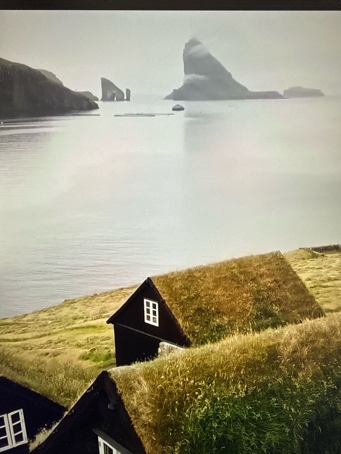 The image shows a picturesque coastal landscape with traditional houses that have grass-covered roofs. In the foreground, two dark-colored houses with white-paned windows are nestled into a grassy slope. The roofs are covered in thick, golden-green grass. Beyond the houses, a body of water stretches out, meeting a hazy sky. In the distance, dramatic rock formations rise from the sea, with one large, spire-like peak partially shrouded in mist. A small boat is visible on the water. The overall atmosphere is serene and somewhat muted due to the overcast sky. This image is not located in the city of Netanya, Israel; it depicts a landscape commonly associated with Nordic regions like the Faroe Islands.