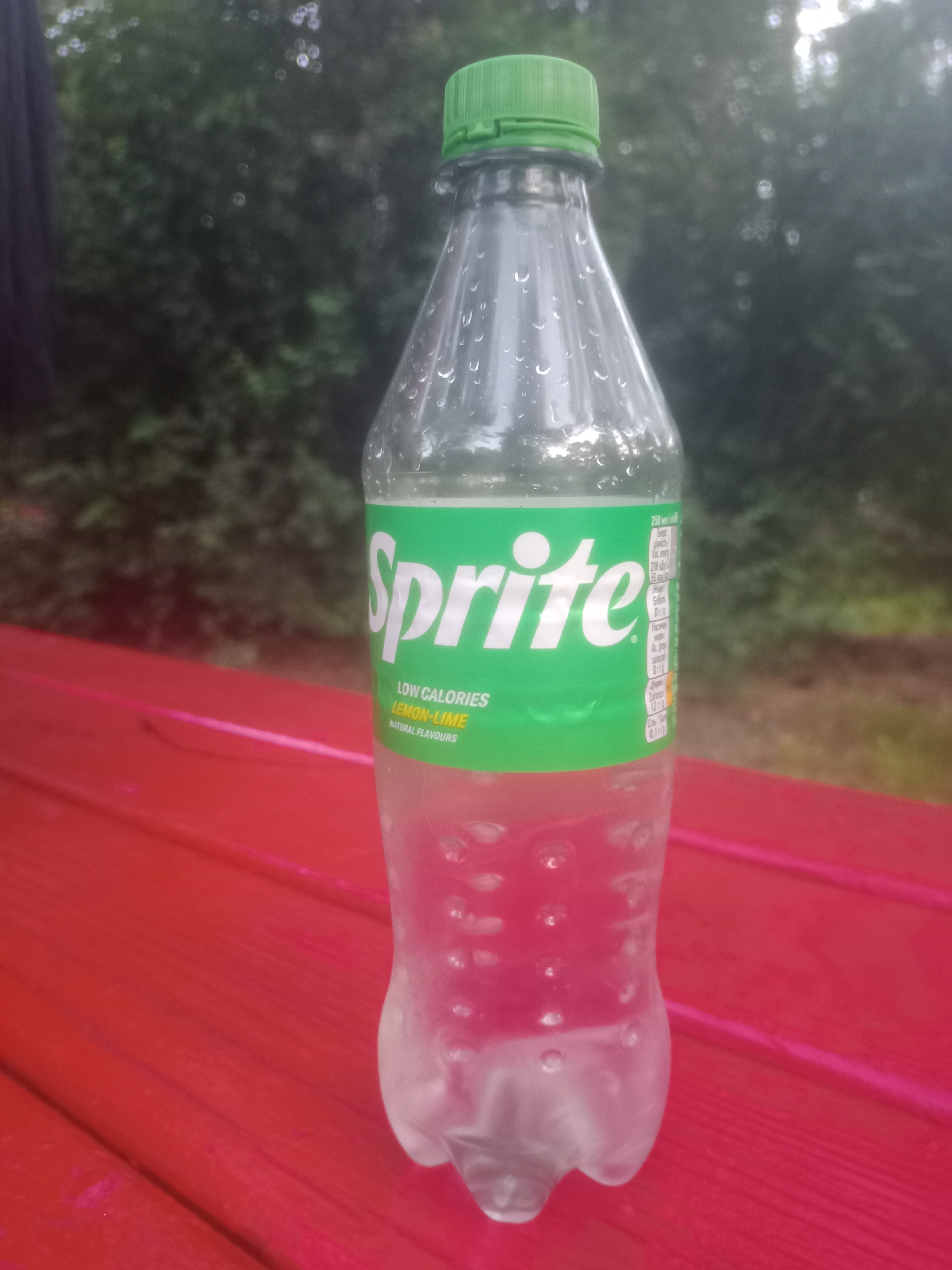 A clear plastic bottle of Sprite sits on a red wooden surface. The bottle is partially filled with a clear liquid and condensation droplets are visible on its exterior. The label on the bottle is predominantly green and white, with the word "Sprite" in large white lettering. Below this, smaller text indicates "LOW CALORIES LEMON-LIME NATURAL FLAVOURS." The background is blurred and appears to be foliage, suggesting an outdoor setting. The red surface is made of wooden planks. There are no people or animals visible in the image. The lighting suggests it is daytime.