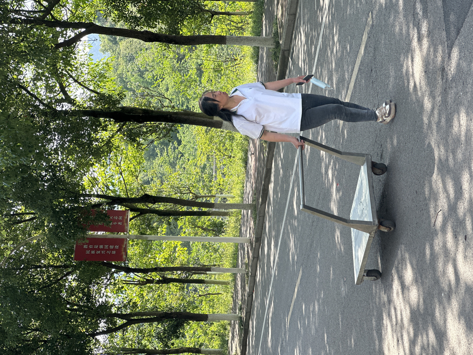 The image depicts an outdoor scene in Jiangjin, China, on a bright, sunny day. A woman stands on a paved asphalt path, facing right, holding the handle of a metal utility cart with her right hand. She wears a white short-sleeved polo shirt with dark trim, dark leggings, and sneakers. In her left hand, she holds a smartphone and a light blue face mask. Her head is tilted slightly upwards, and she appears to be looking towards the left side of the frame.
The path is lined on the left by numerous trees with verdant green leaves, casting dappled shadows across the asphalt surface. These strong shadows indicate bright sunshine, suggesting it is likely midday or early afternoon. In the distance, lush green hills rise under a clear sky. White lines are painted on the asphalt, marking the path.
Among the trees on the left, two red rectangular signs with white Chinese characters are visible. The upper sign reads "大学之道" (Dàxué zhī dào), which translates to "The Way of Great Learning." The lower sign states "教育是强国富民复兴之基" (Jiàoyù shì qiángguó fùmín fùxīng zhī jī), meaning "Education is the foundation for a strong nation, a prosperous people, and national rejuvenation." These informational signs, coupled with the natural and maintained environment, suggest a setting possibly within a campus or a public park. The woman's activity appears to be moving the cart along this path.
