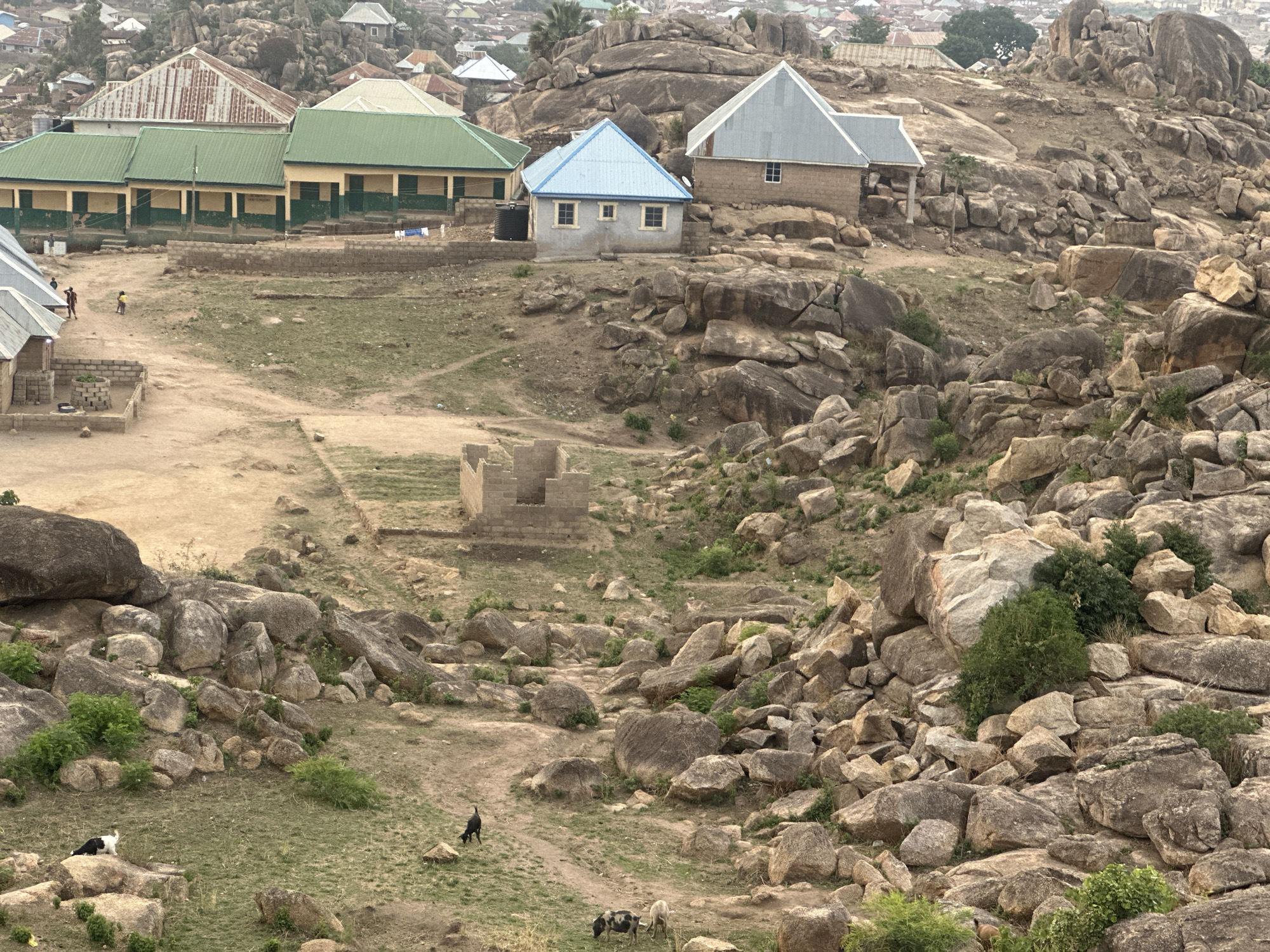 The image shows a landscape in Jos, Nigeria. In the foreground, a rocky, uneven terrain is covered with numerous boulders and sparse vegetation. A few animals, including a black and white goat and a black dog, are scattered on the ground.
Further back, several buildings are visible. A long, green-roofed structure with a yellow facade appears to be a school or a similar institution, based on its design. Next to it, there are smaller houses with different colored roofs, including blue and silver. The buildings are interspersed with more rock formations and vegetation.
In the background, a dense urban area with numerous rooftops is discernible, indicating the cityscape of Jos. The overall impression is one of a semi-urban environment where human habitation and natural rock formations coexist.