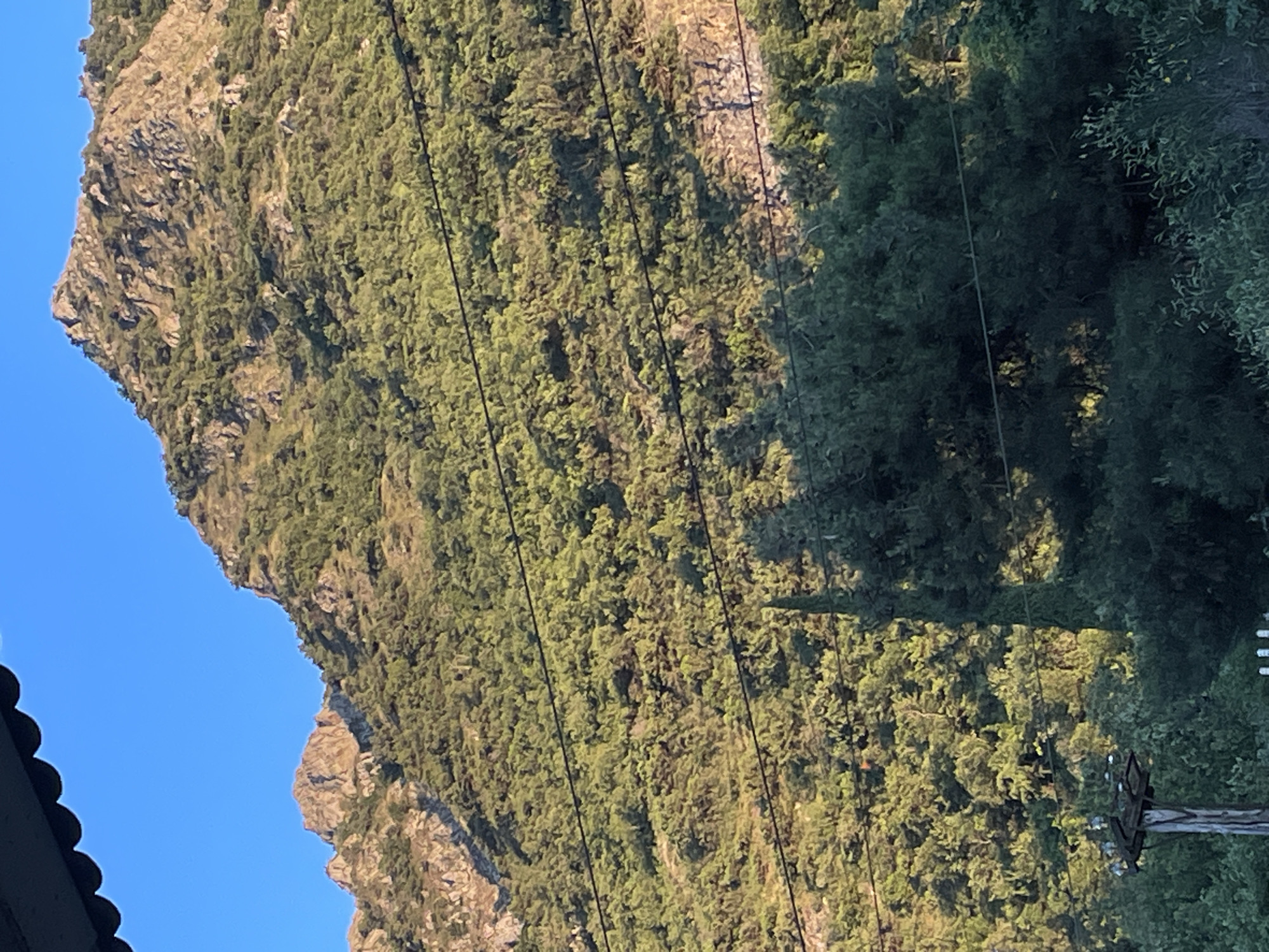 The image shows a steeply sloped, wooded mountainside bathed in the warm light of what appears to be late afternoon or early morning. The trees are dense and a vibrant green, covering much of the rocky terrain. Several power lines, stretched taut, run diagonally across the frame, cutting through the foliage. One of the lines is attached to a wooden utility pole with insulators, visible on the right side of the image. The lower left corner reveals a portion of a dark, textured roof with a scalloped edge, suggesting a man-made structure. In the distance, the clear blue sky provides a stark contrast to the earthy tones of the mountain. The natural, rugged landscape, combined with the presence of the power lines and roof, hints at a rural or semi-rural setting, possibly on the outskirts of a town or village. The lighting suggests clear weather conditions. The image does not contain any visible text or people, nor is there any discernible activity or event taking place. The overall impression is one of serene natural beauty, with a touch of human infrastructure integrated into the environment.