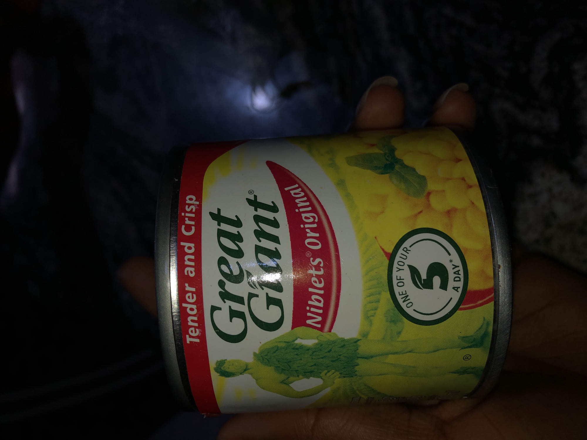 A hand is holding a can of Great Giant Niblets Original corn. The can has a red band at the top with the text "Tender and Crisp" in white. Below this, the brand name "Great Giant" is written in green. A figure resembling an ancient Greek god or a representation of nature is depicted on the left side of the can, clad in leaves. To the right of the figure, the text "Niblets Original" is written in red and white. A green circular emblem on the can reads "ONE OF YOUR 5 A DAY*". The background is dark and out of focus, suggesting an indoor setting with dim lighting. There are no discernible landmarks or contextual cues to indicate the specific location within Bar Jirgi Summa, Nigeria.