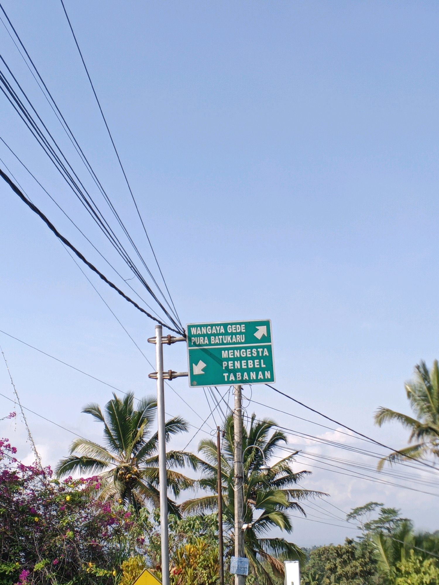 A green directional sign stands on a metal pole against a clear blue sky. The sign indicates directions to "WANGGAY GEDE PURA BATUKARU" to the right and "MENGESTA PENEBEL TABANAN" to the left. Power lines crisscross the sky diagonally. In the lower part of the image, palm trees, lush green foliage, and vibrant purple flowers are visible, suggesting a tropical environment. The scene appears to be located in or near Penebel, Indonesia, as indicated on the sign.