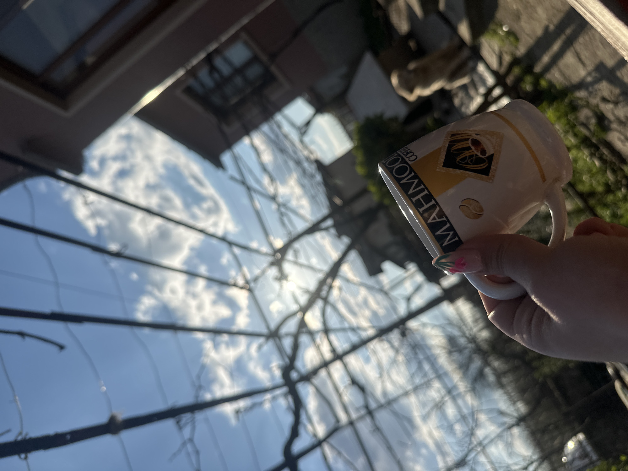 The image shows a hand holding a white ceramic coffee mug with the brand "MAHMOOD COFFEE" printed on it. The mug is positioned in front of a window with reflections of trees and sky, suggesting an outdoor scene. The background appears to be a residential area, possibly in the city of Chubra, Bulgaria. The fingernails of the hand holding the mug are decorated with a floral pattern. The scene is photographed with a slight tilt, creating a dynamic perspective.