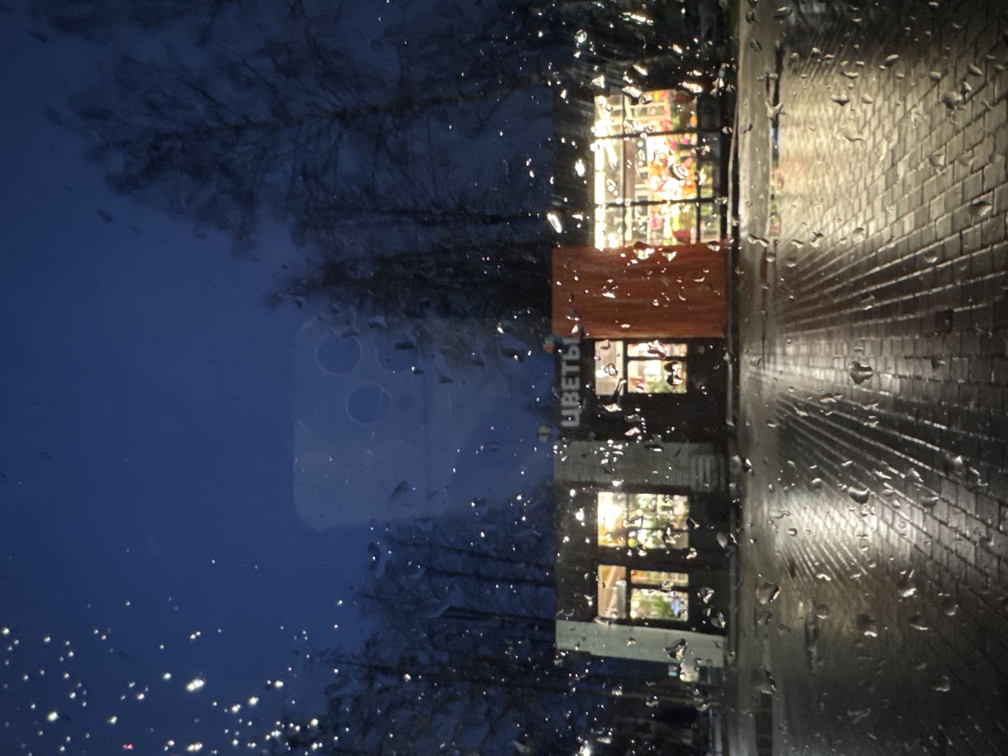 A view through a rain-streaked window shows a building in Chaikovsky, Russia. The sign on the building reads "ЦВЕТЫ" ("Flowers"). The building is likely a flower shop. The view outside the window includes trees and a paved walkway. It is dark outside, suggesting it is either night or dusk. Streetlights are visible in the background. The focus is on the raindrops on the window and the illuminated flower shop.
