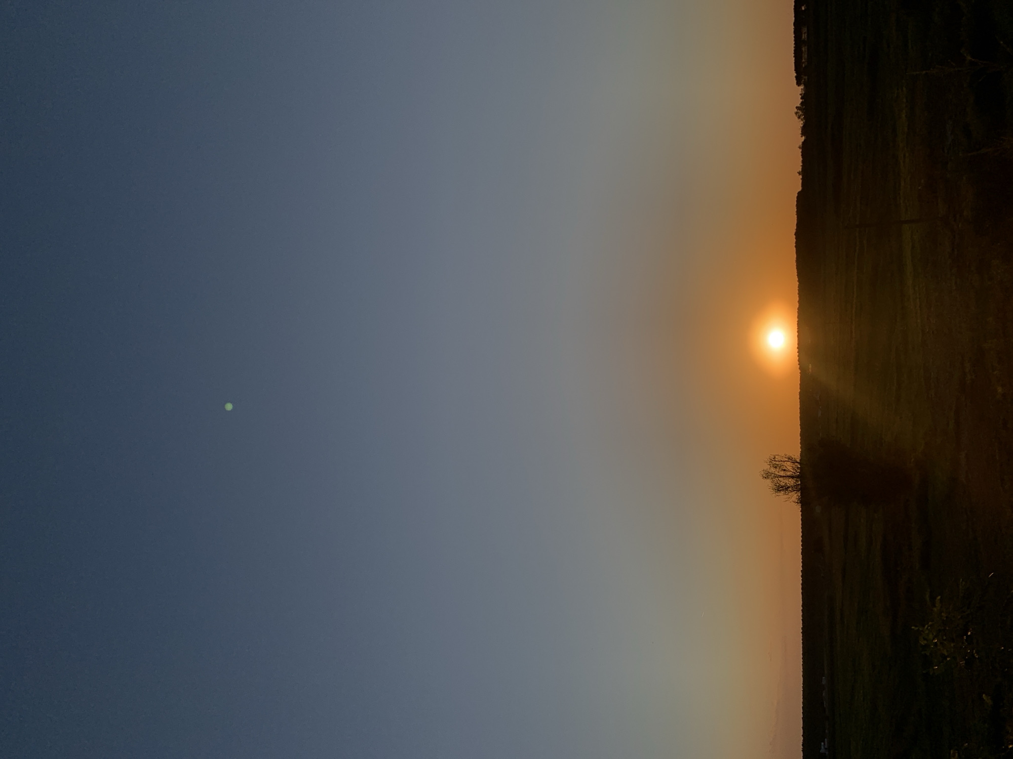 The image depicts a sunset over a rural landscape, likely in or near the city of Codigoro, Italy. The sun, a bright orange orb, is low on the horizon, casting a warm glow across the sky and illuminating a solitary, silhouetted tree in the foreground. The sky transitions from a deep blue at the top of the frame to shades of orange and yellow near the horizon. The ground below is a field of green grass, with darker shadows cast by the setting sun. In the distance, a faint line of trees marks the horizon. A small, bright green circular object is visible in the upper portion of the sky. The scene is serene and tranquil, evoking a sense of peacefulness.
