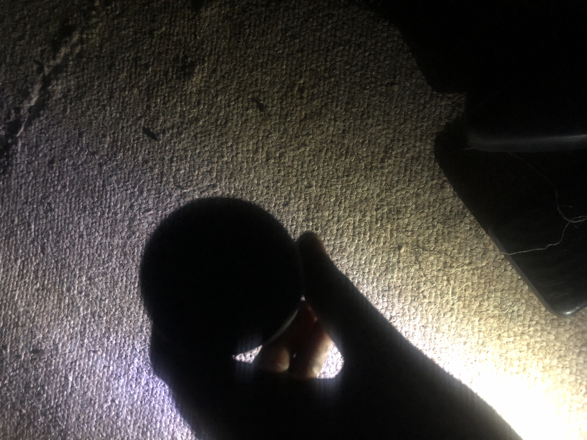 A person's hand is holding a dark, spherical object in the foreground of the image. The hand is silhouetted against a brightly lit, textured surface that appears to be carpet. The lighting creates a strong contrast, casting a shadow of the hand and object. The background is dark, with some indistinct shapes visible, possibly furniture or other objects. The environment is a dimly lit indoor space, possibly a room. The image does not contain any discernible information that would allow for the identification of its location in Jalingo, Nigeria.