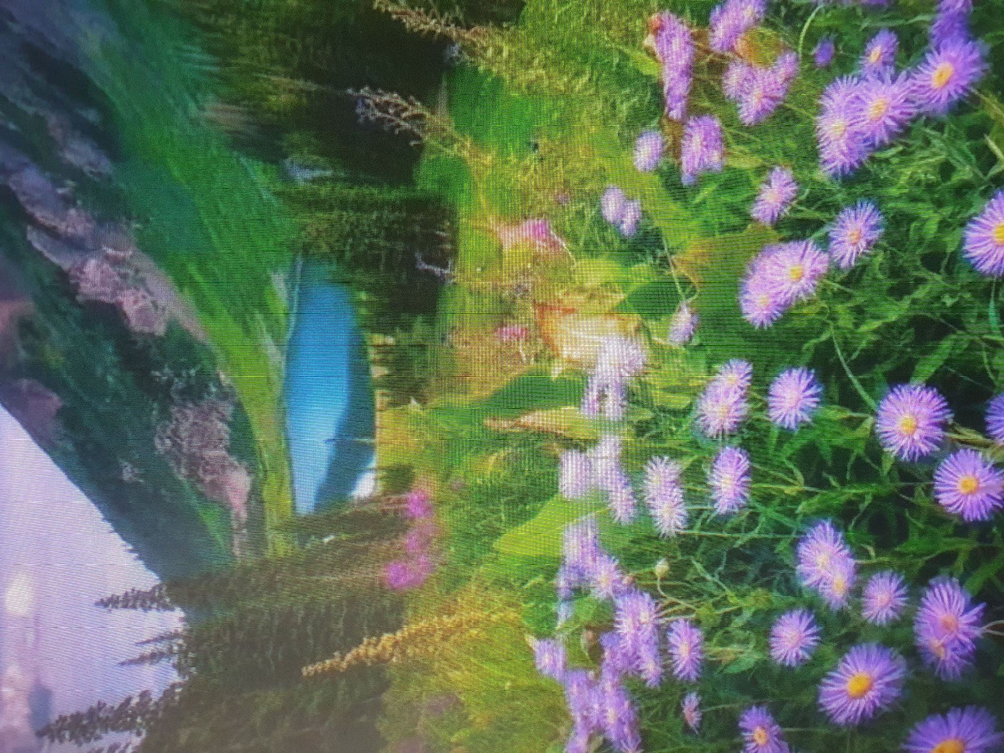 The image depicts a vibrant alpine landscape with a clear blue lake nestled in a valley. Lush green slopes rise behind the lake, dotted with trees and rocky outcrops. In the foreground, a field of purple wildflowers adds a splash of color to the scene. The sky above is a soft gradient of pink and purple. The image is an artistic rendering, not a photograph of a specific location in Tashkent, Uzbekistan.