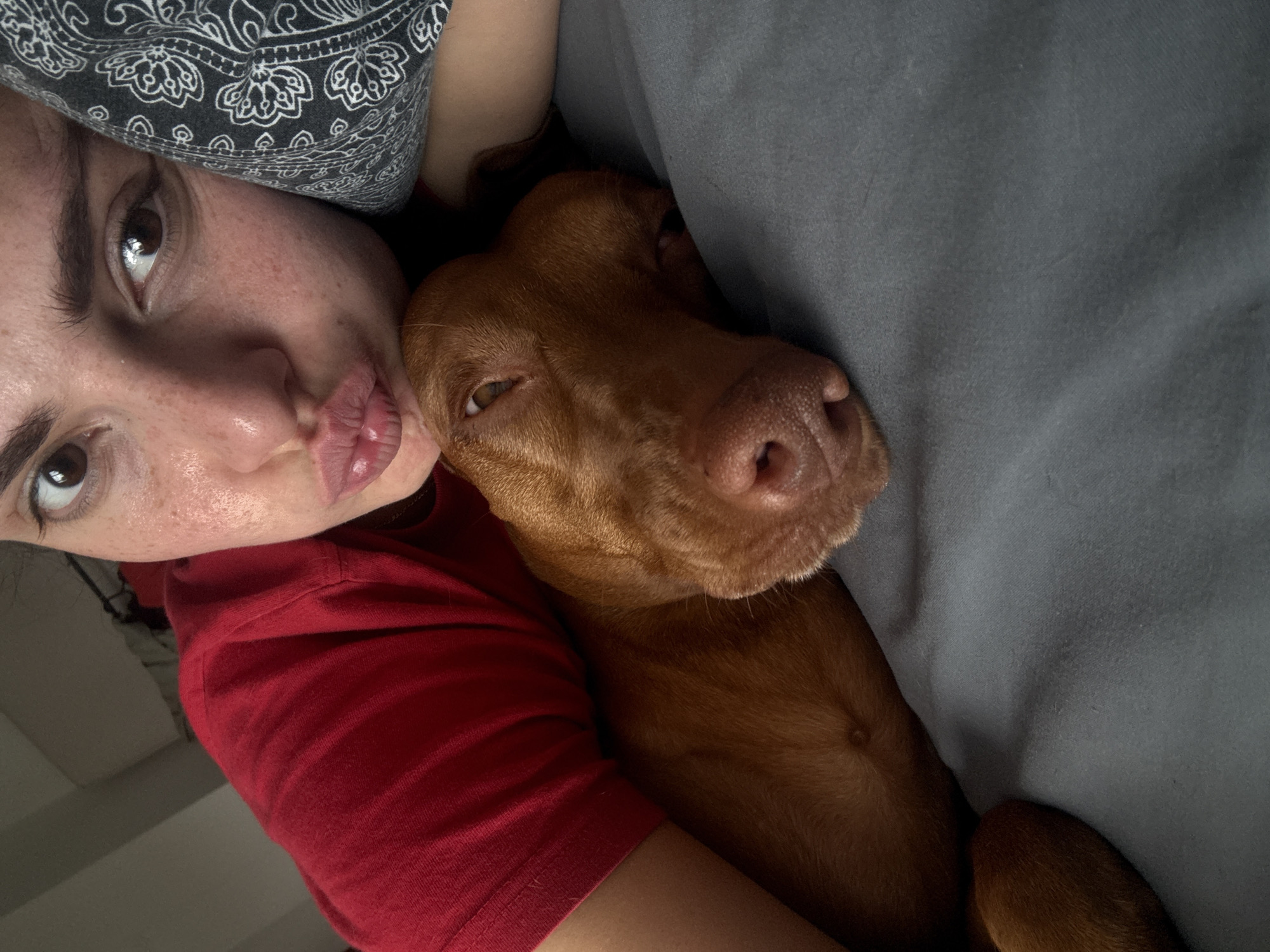 This close-up, intimate portrait captures a person and a dog cuddling together in an indoor setting. The person, a woman, is positioned on the left side of the frame, looking towards the right. She has dark eyes, dark hair partially covered by a grey bandana with a white paisley pattern, and a fair complexion with visible freckles. Her lips are playfully pursed in a "kissy" face directed towards the dog. She is wearing a red t-shirt.
Cuddled close beside her is a medium-sized dog with short, reddish-brown fur, likely a Vizsla, with its head resting comfortably. The dog's eyes are half-closed, suggesting it is sleepy or very relaxed, and its pink nose is prominent. Its body is nestled against the person's arm and a soft, grey blanket or bedding that covers the right side of the frame.
The image conveys a strong sense of affection, comfort, and relaxation between the human and the pet. The soft, diffused lighting suggests an indoor environment, possibly a bed or couch, during a calm part of the day like morning or evening. There are no specific location cues visible within the image that point to Sofia, Bulgaria, and no visible text is present.