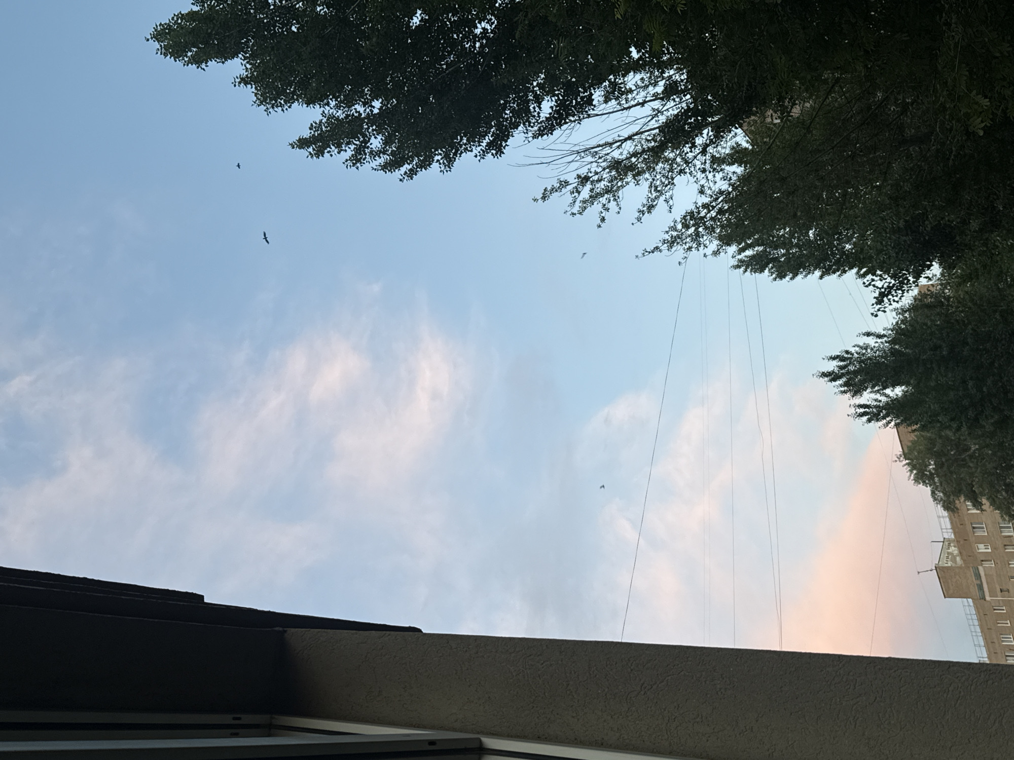 The image shows a view of the sky with several birds flying and trees in the foreground. On the left side of the image, part of a building or structure with a dark roof and textured wall is visible. In the background, a building with multiple windows and a flat roof is partially obscured by trees. The sky is blue with wispy clouds, some tinged with pink, suggesting it may be dawn or dusk. There are power lines visible stretched across the sky. The location is identified as Orenburg, Russia.