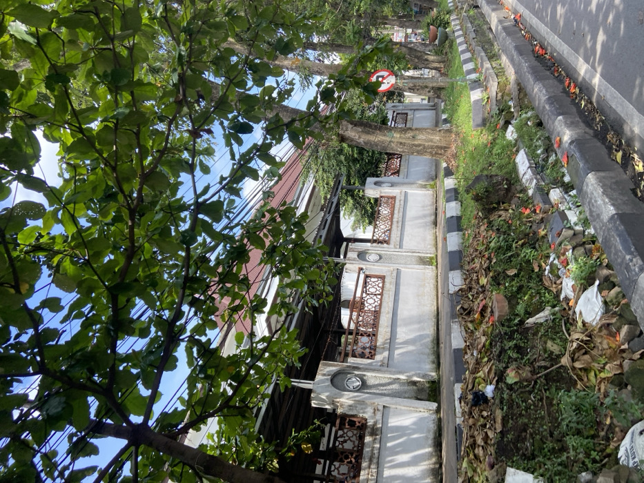The image shows a street scene in Cimahi, Indonesia. The view is taken from the sidewalk, looking down a street. A large tree with green leaves obscures the view of the buildings across the street. The street is lined with trees and a white concrete wall. The wall is topped with a metal railing and has a small red tile roof. The sidewalk has a black and white curb. There is a ditch between the curb and the street. The ditch is filled with dirt and leaves. There are scattered orange flowers on the sidewalk. The street is paved with asphalt and has a slight curve. There are power lines strung along the top of the trees and buildings. The image was taken in a residential area. The coordinates are -6.872 latitude and 107.541 longitude.