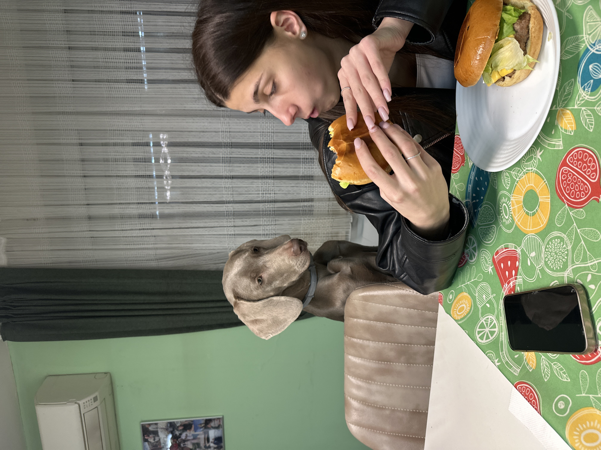 A young woman with long brown hair wearing a black leather jacket is eating a hamburger indoors. She is seated at a table covered with a green tablecloth patterned with colorful fruits. There is another hamburger on a white plate to her right. A Weimaraner dog sits beside her, looking up at the hamburger in her hand. A smartphone lies on the tablecloth near the edge of the table. An air conditioning unit and a framed photo are visible on the green wall in the background. The location is likely an apartment or a restaurant interior, but there is nothing to directly indicate its location in Plovdiv, Bulgaria.