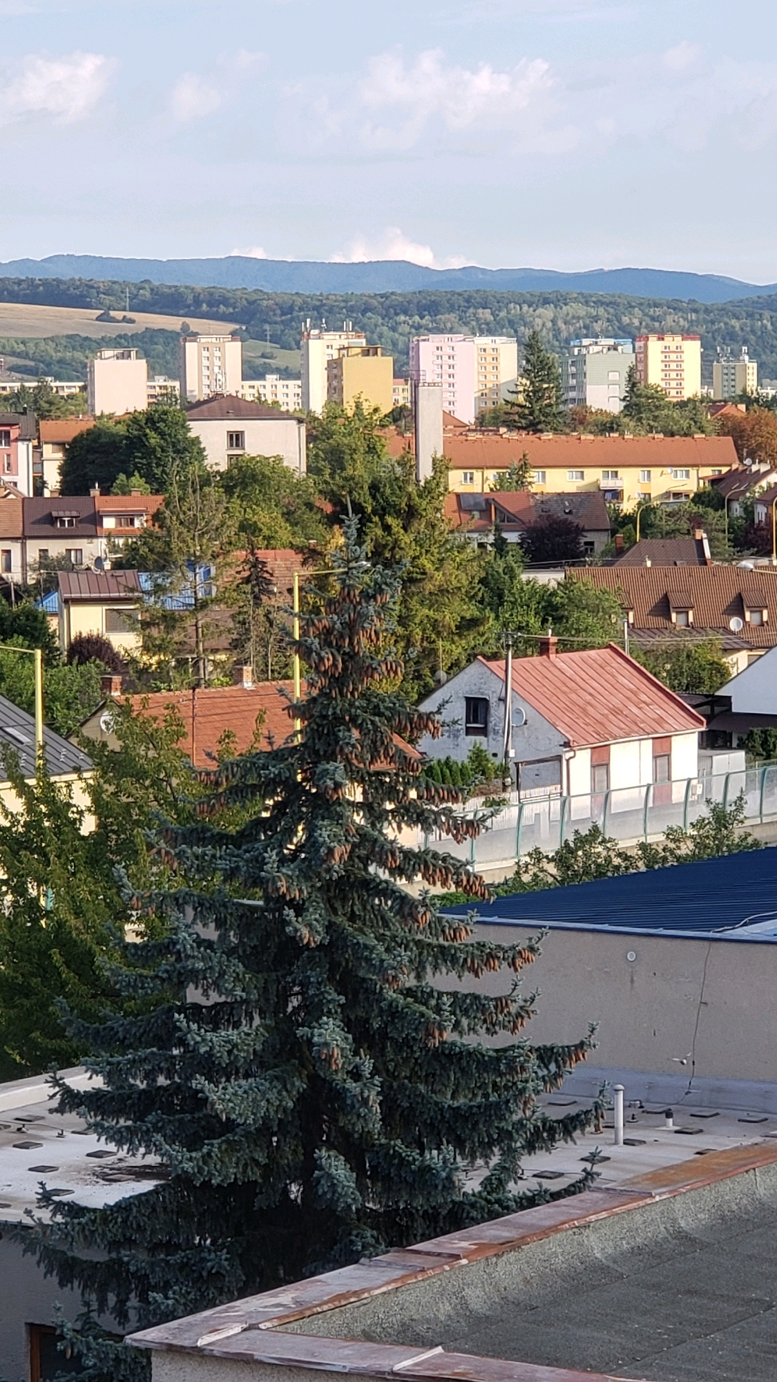 The image shows a view of the city of Prešov, Slovakia, from a rooftop vantage point. In the foreground, a large evergreen tree with numerous cones dominates the frame. Beyond the tree, a dense urban landscape unfolds, characterized by a variety of residential buildings. The architecture includes multi-story apartment blocks with light-colored facades and pitched-roof houses with red tiles. Greenery is interspersed throughout the cityscape, with trees and bushes visible between buildings. In the background, rolling hills covered in trees form a natural backdrop to the urban sprawl. The sky above is a pale blue with scattered white clouds. The overall scene depicts a suburban or semi-urban area of Prešov.