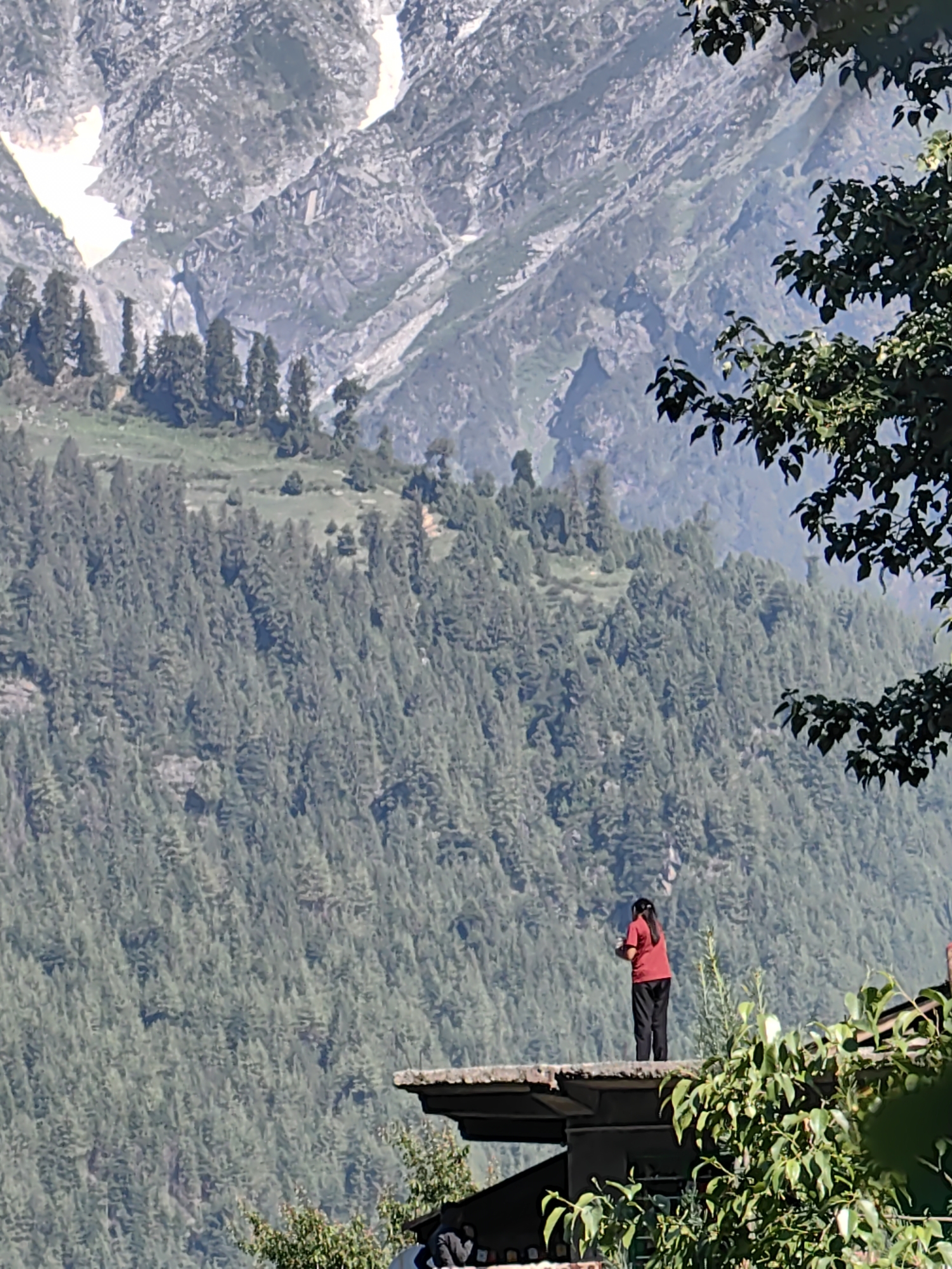 A solitary individual, identified as wearing a red shirt and black pants, stands on a flat, weathered surface that appears to be a rooftop or elevated platform. The person is facing away from the camera, looking out at a vast, mountainous landscape. The backdrop features a steep, forested mountainside densely populated with evergreen trees. Higher up, the mountains transition to rocky terrain with patches of snow, indicative of significant elevation. The overall environment suggests a remote, natural setting, possibly in the Himalayas. The person's posture implies observation or contemplation of the expansive scenery.