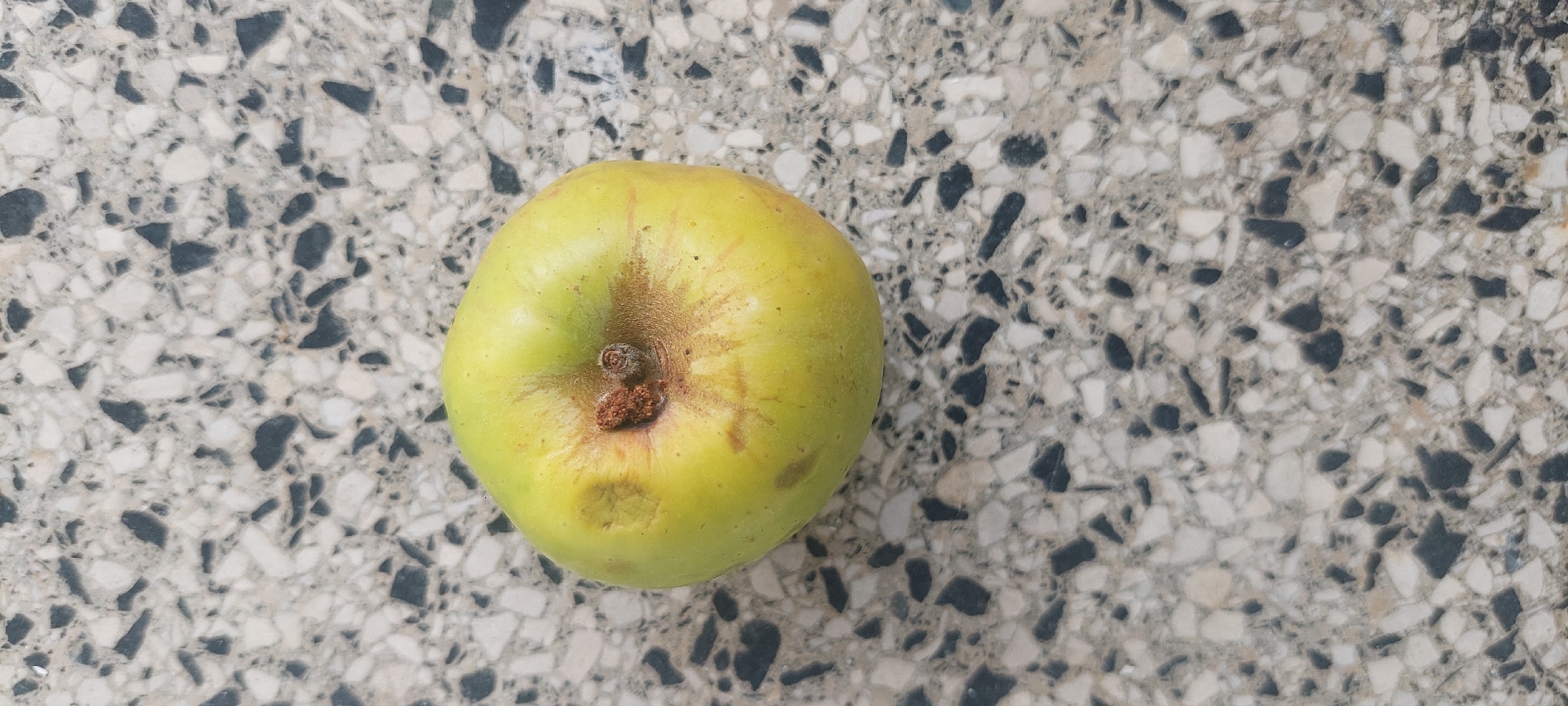 A single, slightly bruised green apple rests on a speckled terrazzo surface. The apple is positioned slightly off-center, with its stem end facing towards the upper right of the frame. The surface beneath the apple is composed of a mosaic of light and dark gray, white, and black irregular chips. The lighting appears to be natural and overhead, casting subtle shadows. No other objects or individuals are visible in the image.