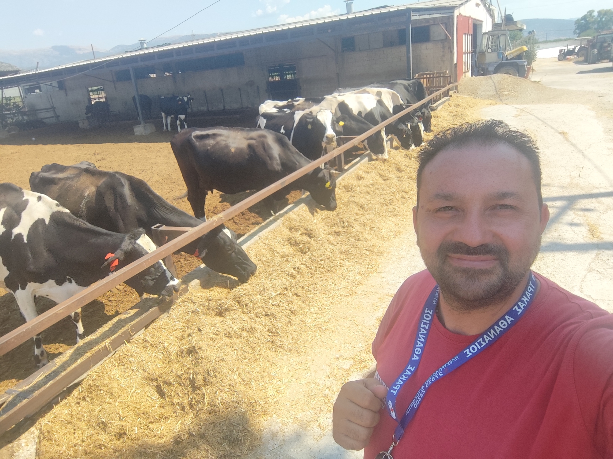 In the Municipal Unit of Argos, Greece, a man with a beard and a red shirt takes a selfie in front of a cow farm. Several black and white cows are visible in the background, eating hay from a feeder. The farm appears to be open-air, with a simple structure providing shelter from the sun. A yellow tractor is parked in the background. The ground is covered in dirt and hay. The sky is clear and blue.