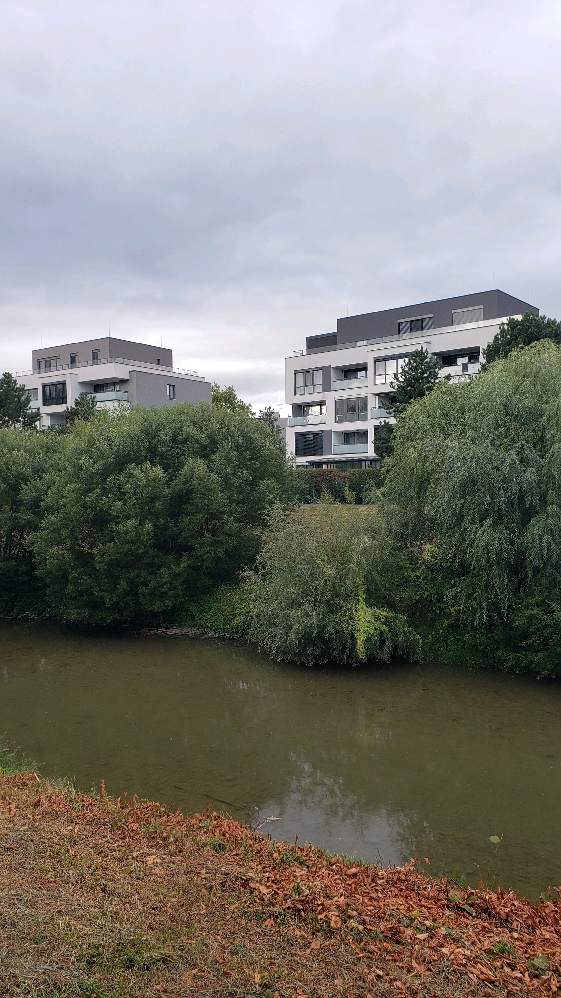 The image shows a view of the Slana river in Prešov, Slovakia. On the far bank of the river, two modern apartment buildings are visible behind a line of trees. The buildings have white facades with dark gray roofs and balconies. The river is murky green, and the bank in the foreground is covered with dry grass and fallen leaves. The sky is overcast and gray.