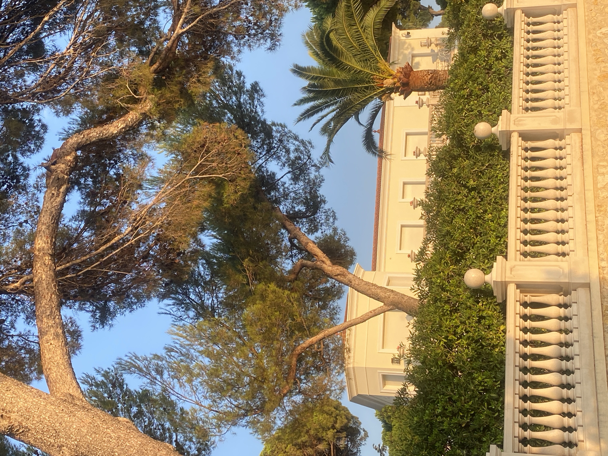 The image captures a sunlit scene featuring a light-colored building with a red-tiled roof, partially obscured by lush green bushes and a white balustrade fence. A palm tree stands to the right of the building, and pine trees frame the top of the image. The sky is clear and blue. The overall impression is one of a luxurious property, likely a villa, in a Mediterranean setting. While the exact location within Antibes is not discernible from the image alone, the presence of palm trees and the architectural style suggest a coastal area. The lighting indicates it is either sunrise or sunset, with a warm golden glow illuminating the scene. There are no people or animals visible in the frame.