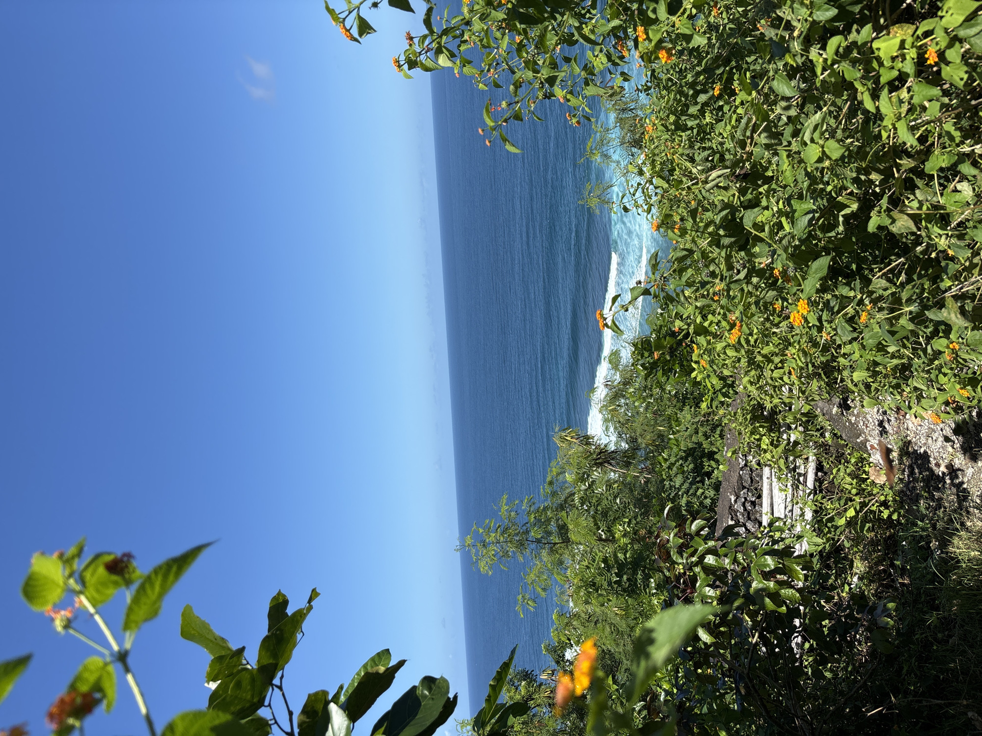 The image depicts a view of the ocean in Kuta Selatan, Indonesia, framed by lush green vegetation with small orange flowers. The sky is clear and blue. The ocean is calm with gentle waves. The viewpoint is from a high vantage point, possibly a cliff or a raised platform, with vegetation obscuring a portion of the foreground. There is a portion of what appears to be a structure, possibly a wall or fence, visible amidst the foliage.