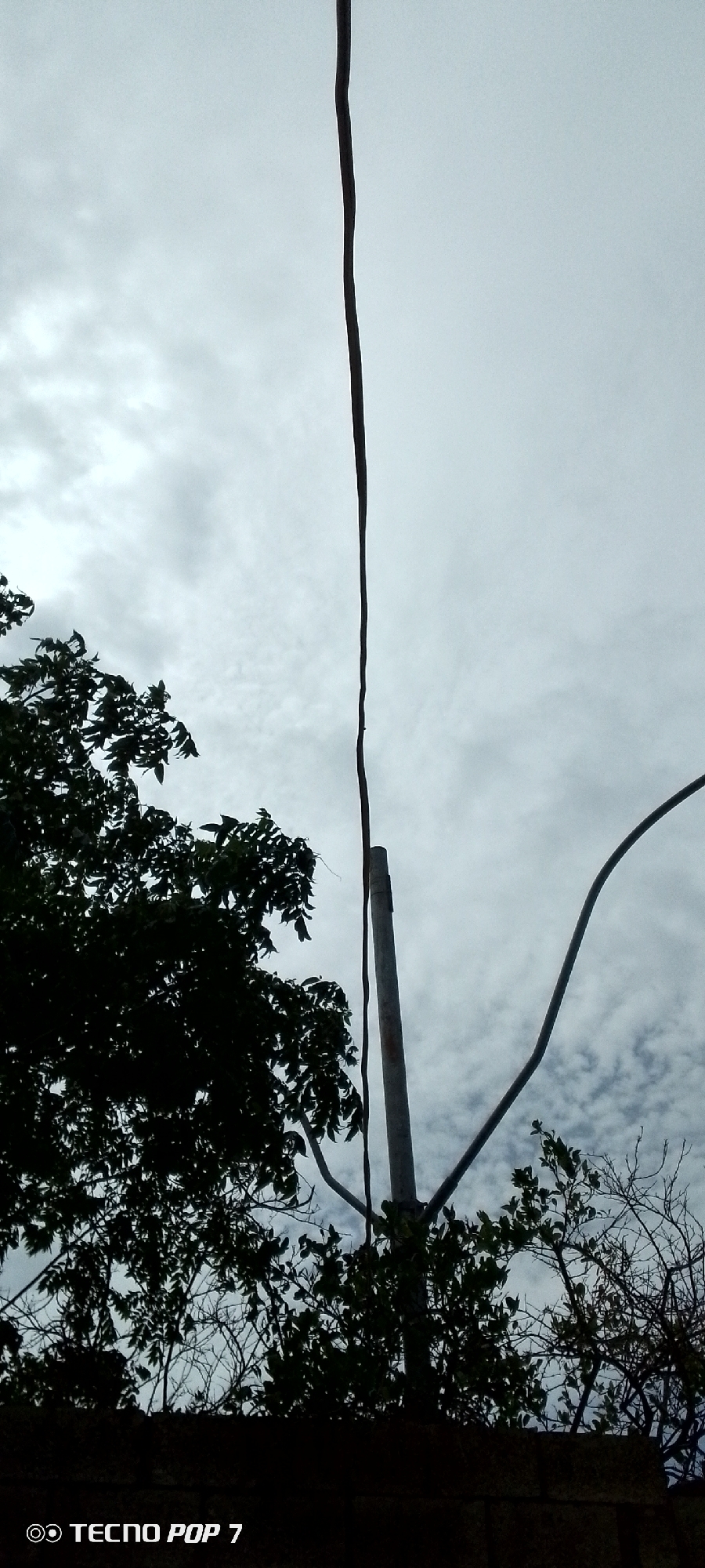 The image is a low-angle shot of a pole and wires against a cloudy sky, with dark silhouettes of trees in the foreground. A tall, thin, dark wire stretches vertically up the center of the frame, appearing to be a power line or antenna. To the right of this wire is a grey, cylindrical pole, which appears to be a utility pole or lamppost, with a curved wire attached to its upper portion. On the left side of the image, the dark silhouette of dense tree foliage is visible, with some bare branches extending upwards. In the lower right corner, another set of dark, bare branches are seen. The sky is overcast with scattered clouds, creating a subdued lighting condition. The bottom of the image contains the text "TECNO POP 7" in white lettering, indicating it is a photograph taken with that device. The scene appears to be an outdoor urban or semi-urban environment in Altagracia, Venezuela. There are no people or animals visible in the image. The overall impression is one of a utilitarian infrastructure element against a natural backdrop.