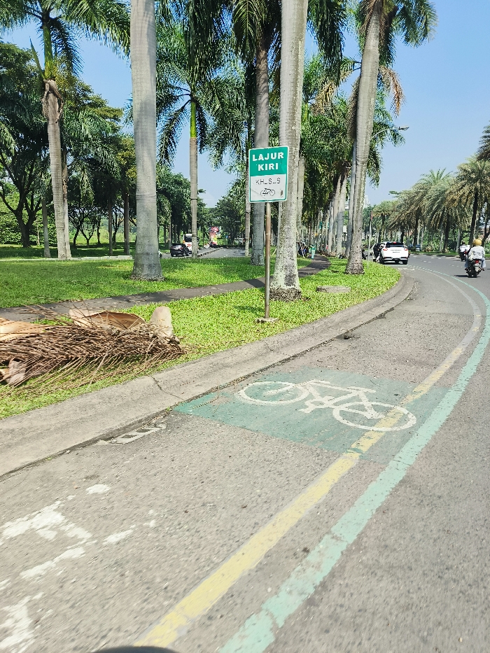 The image shows a street in Padalarang, Indonesia, at coordinates -6.853 latitude and 107.493 longitude. The scene is captured from a moving vehicle, looking towards the left side of the road. It features a dedicated bicycle lane marked with a white bicycle symbol on a green surface. A signpost displays a green sign reading "LAJUR KIRI" (left lane), with the words "KH.S.S" and "120" partially visible underneath. The road is bordered by a row of palm trees and green grass. In the background, there are a few cars driving away from the viewer. The image is taken during the daytime, with clear skies.